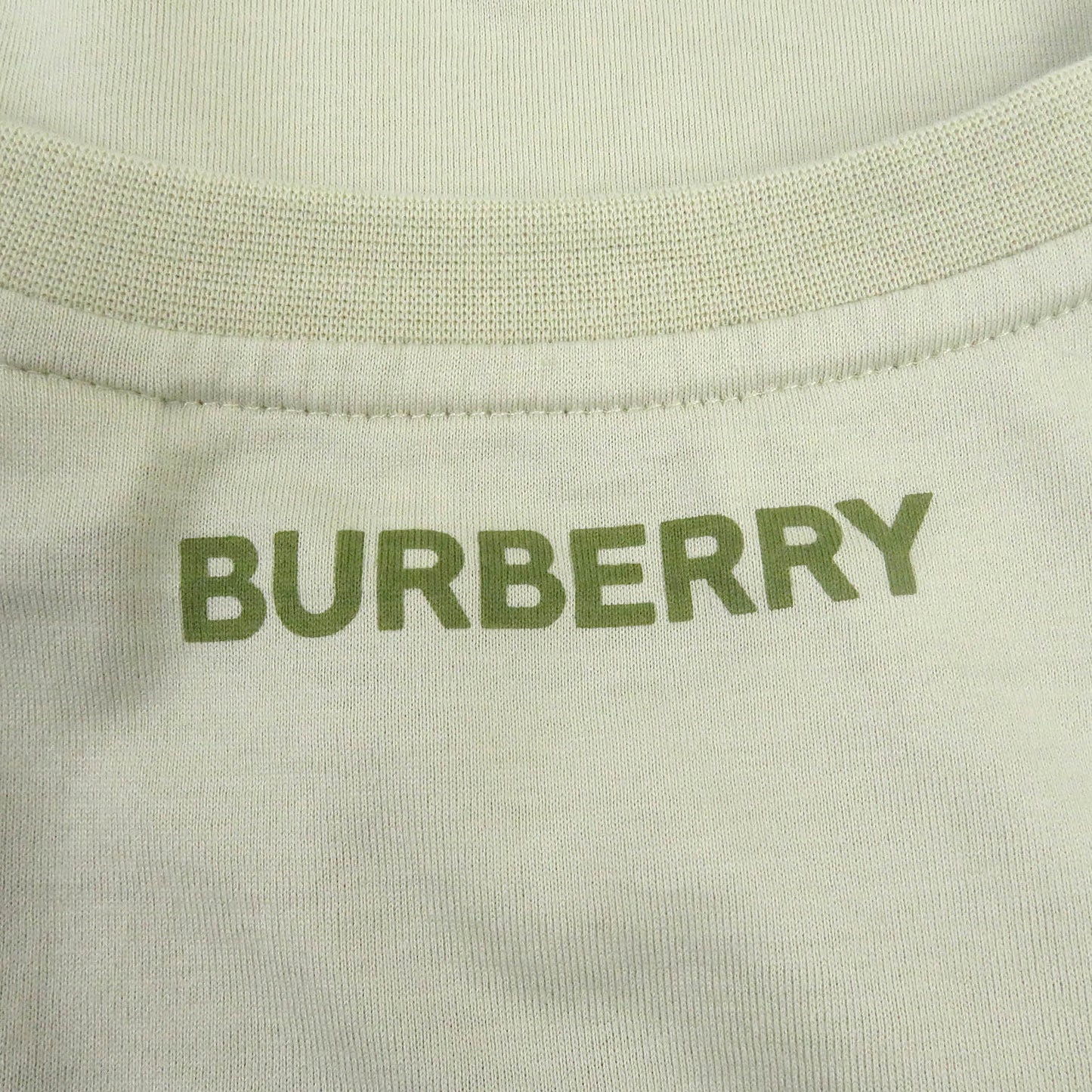 BURBERRY Short sleeve T-shirt 8052169 Main: 100% cotton, some parts: 98% cotton, some parts: 2% elastane Khaki type mens L