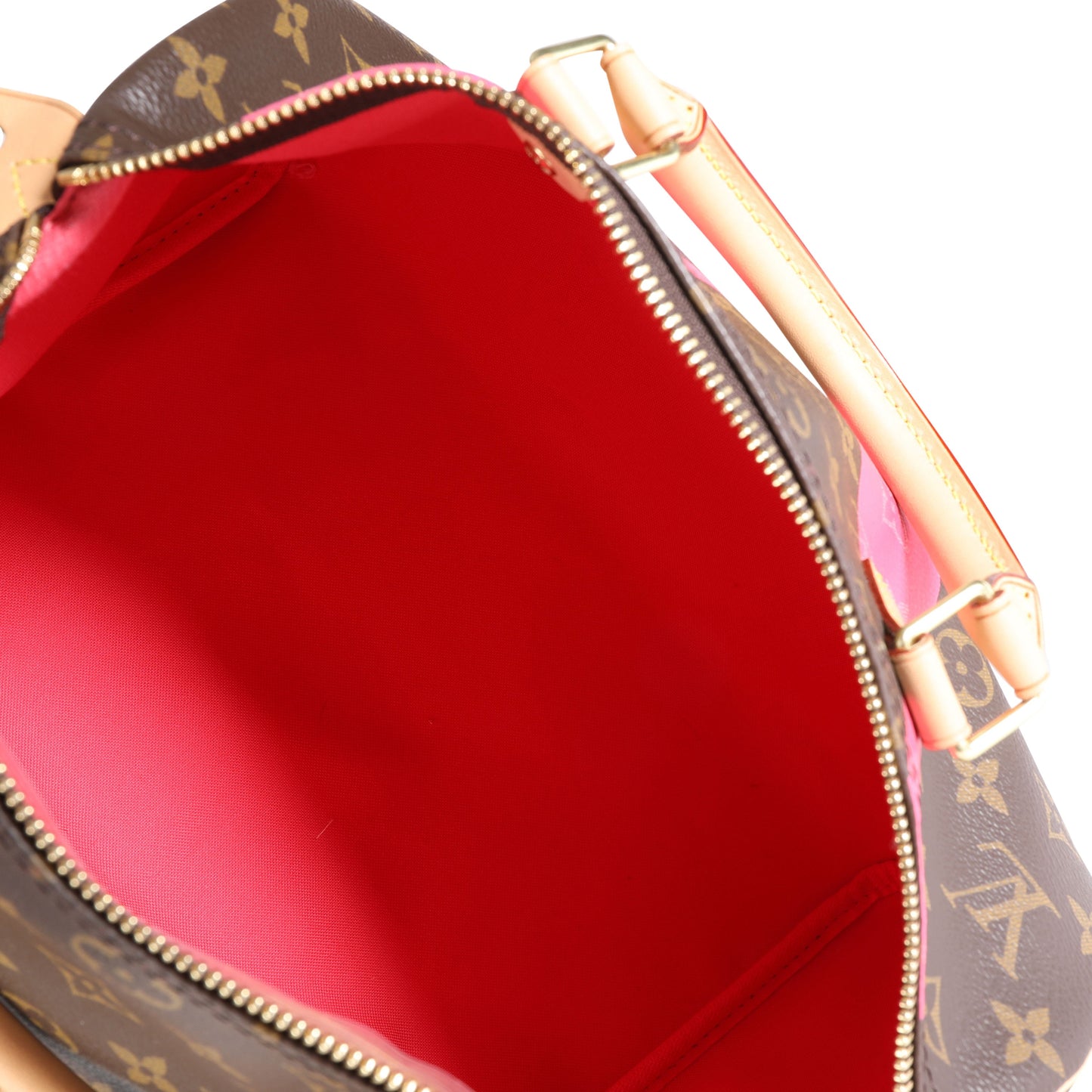 Louis Vuitton Louis Vuitton Monogram Canvas & Grenade V Speedy 30