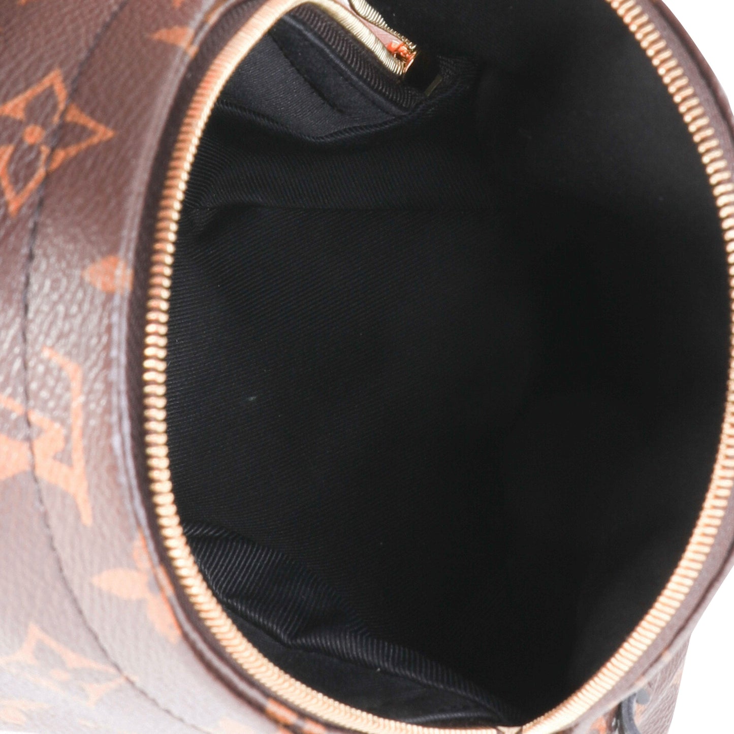 Louis Vuitton Louis Vuitton Monogram Canvas Palm Springs Mini Backpack