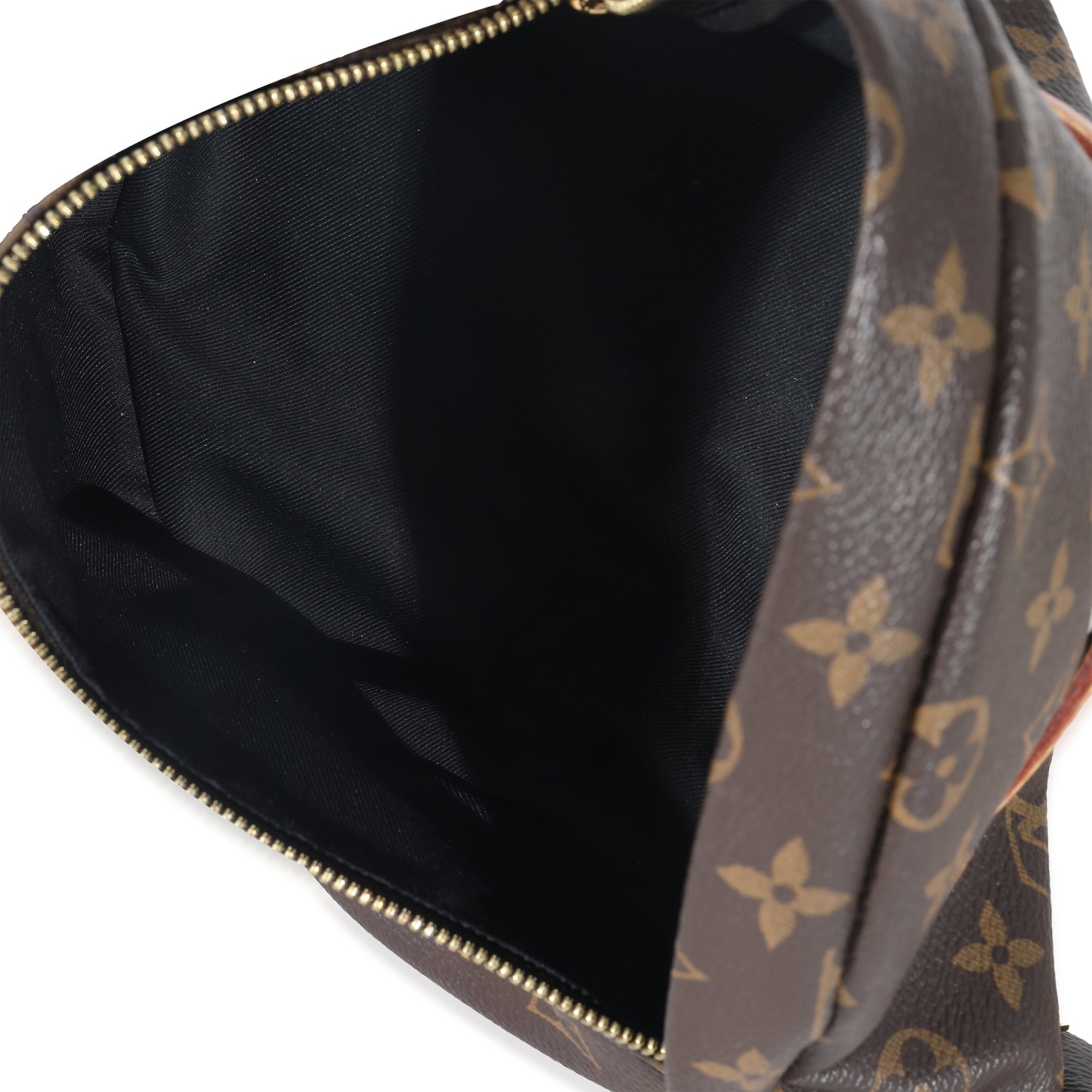 Louis Vuitton Louis Vuitton Monogram Canvas Bumbag