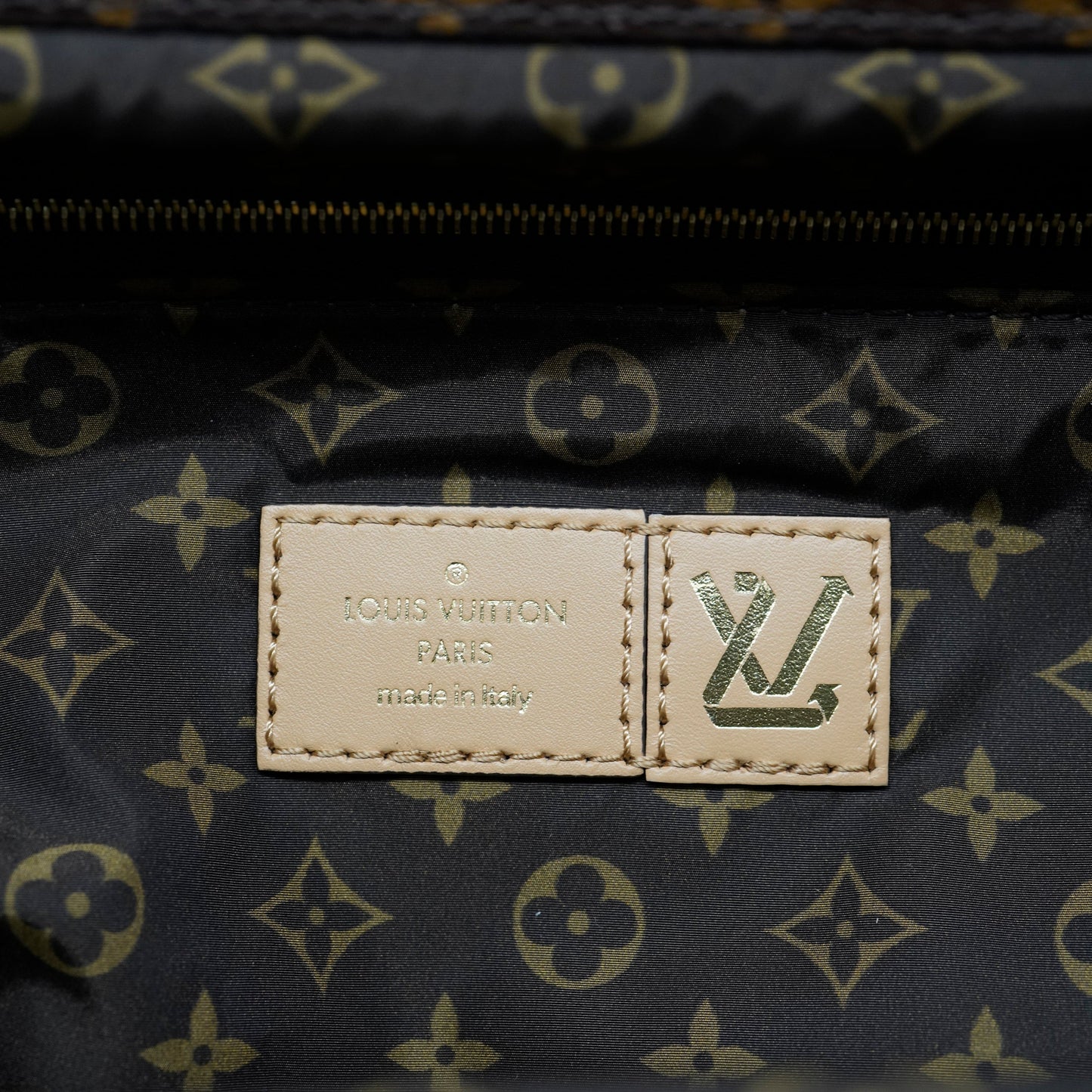 Louis Vuitton Louis Vuitton Beige Econyl Monogram Pillow Giant Onthego GM
