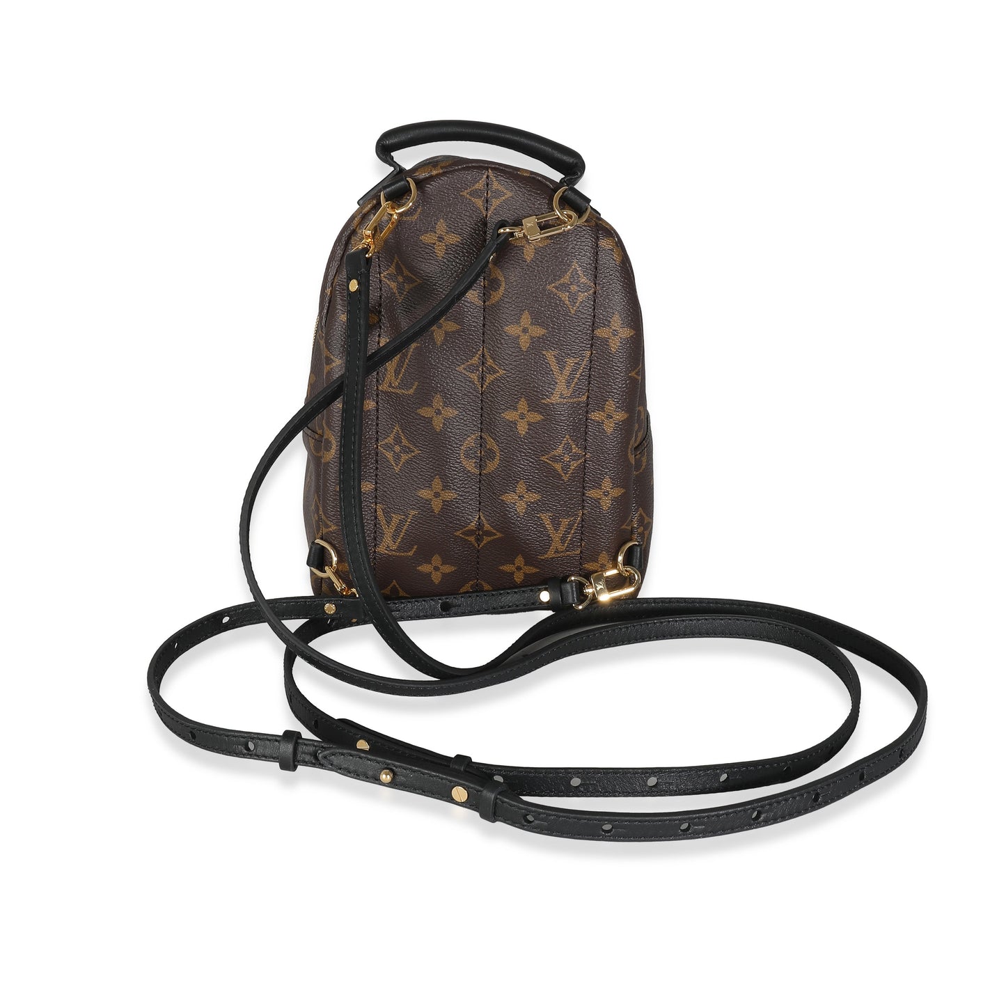 Louis Vuitton Monogram Canvas Mini Palm Springs