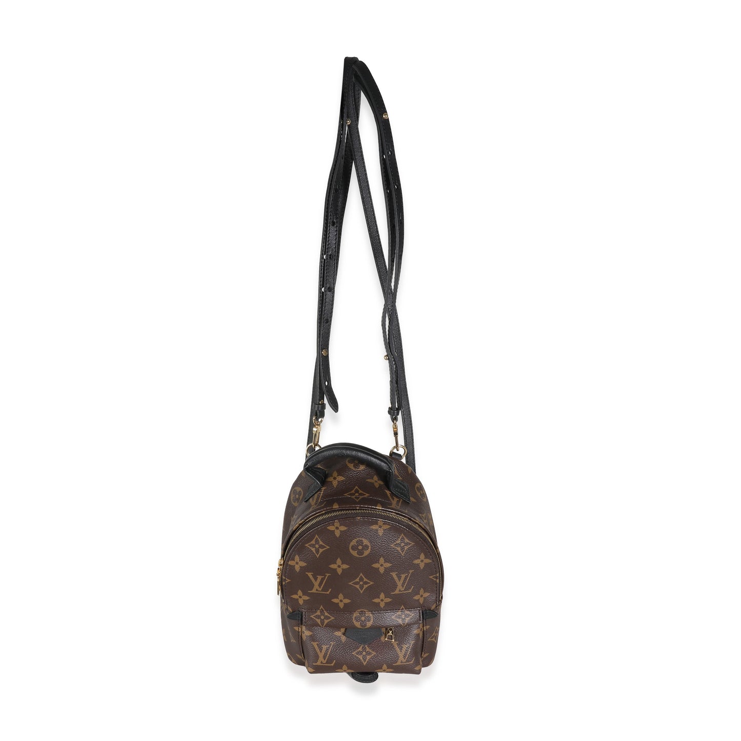 Louis Vuitton Monogram Canvas Mini Palm Springs