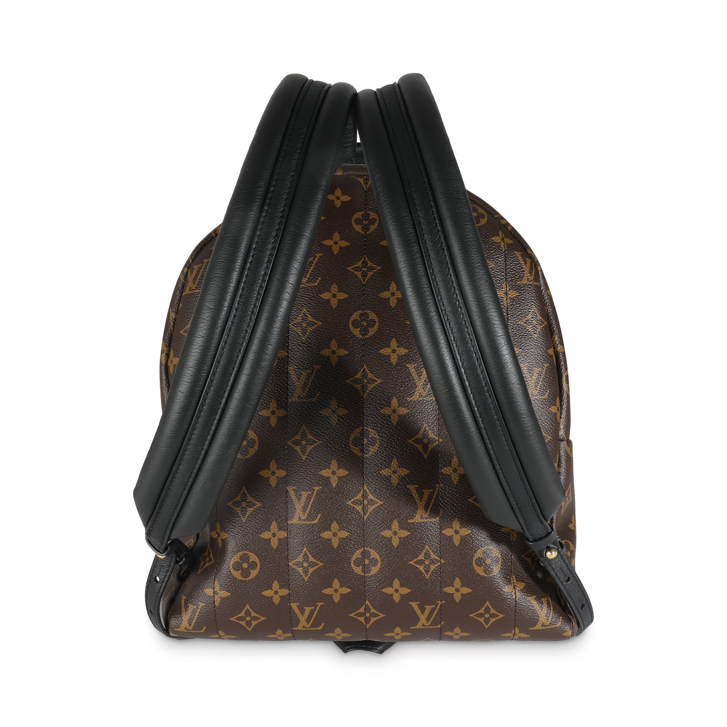 Louis Vuitton Monogram Canvas Palm Springs MM