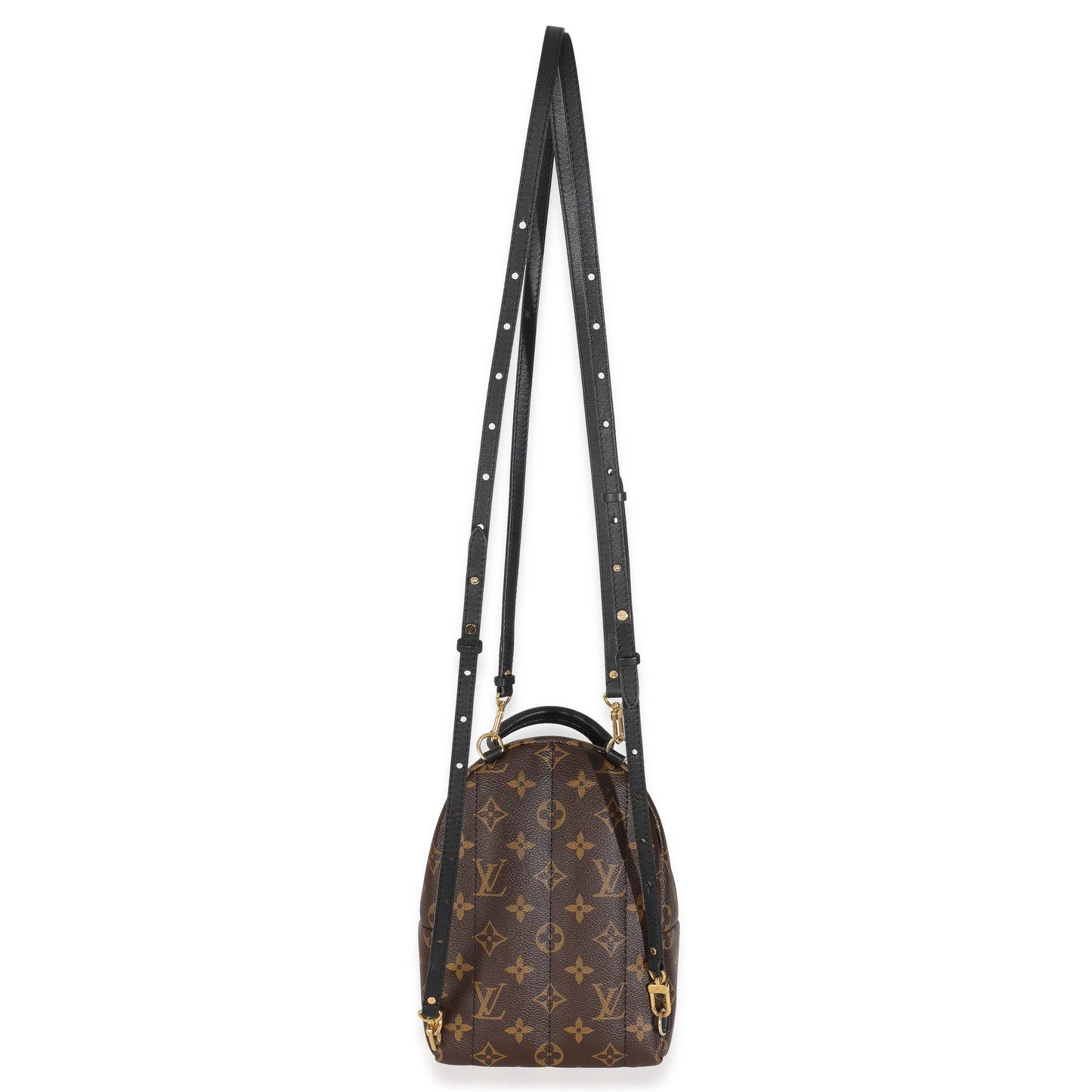 Louis Vuitton Monogram Canvas Mini Palm Springs Backpack