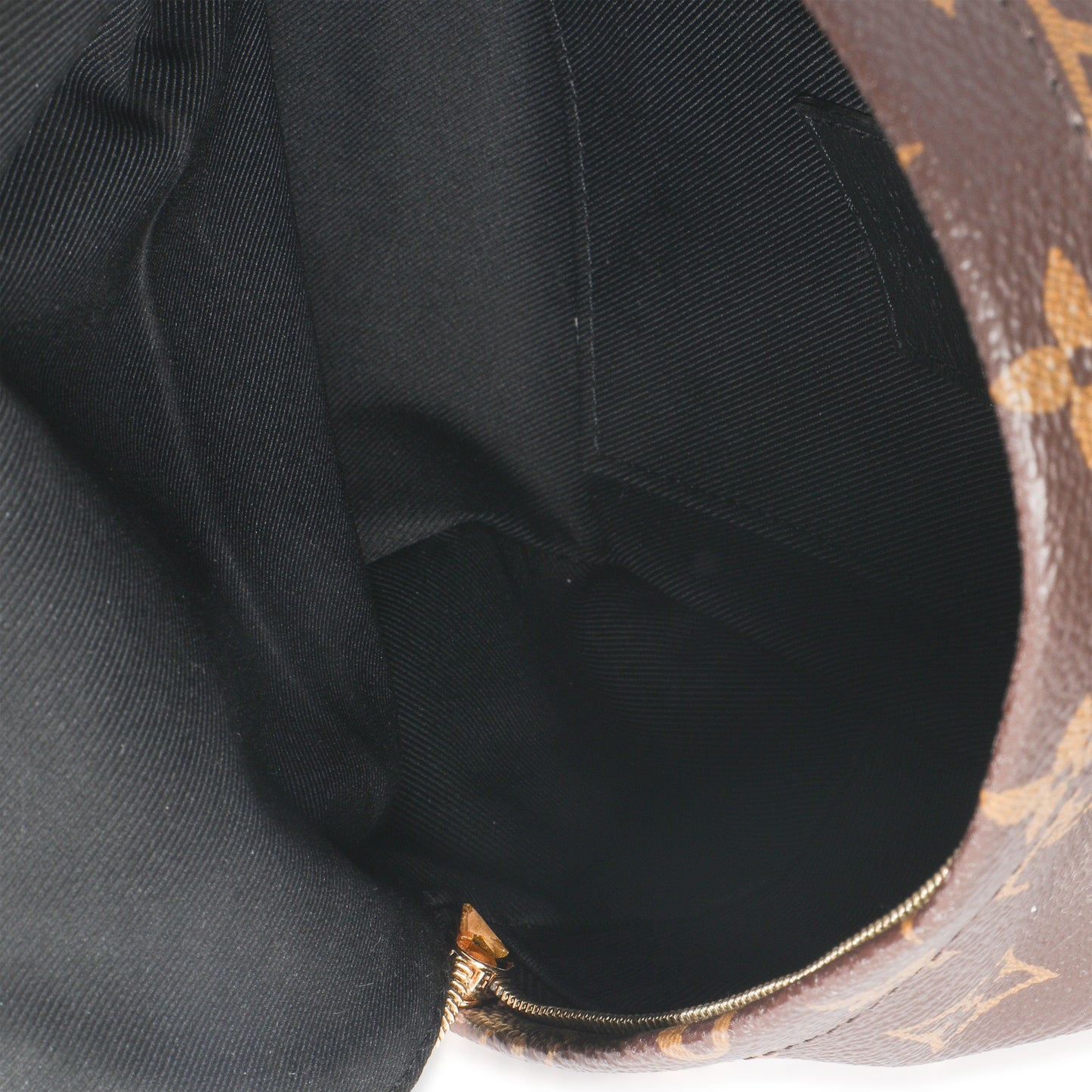 Louis Vuitton Monogram Canvas Mini Palm Springs