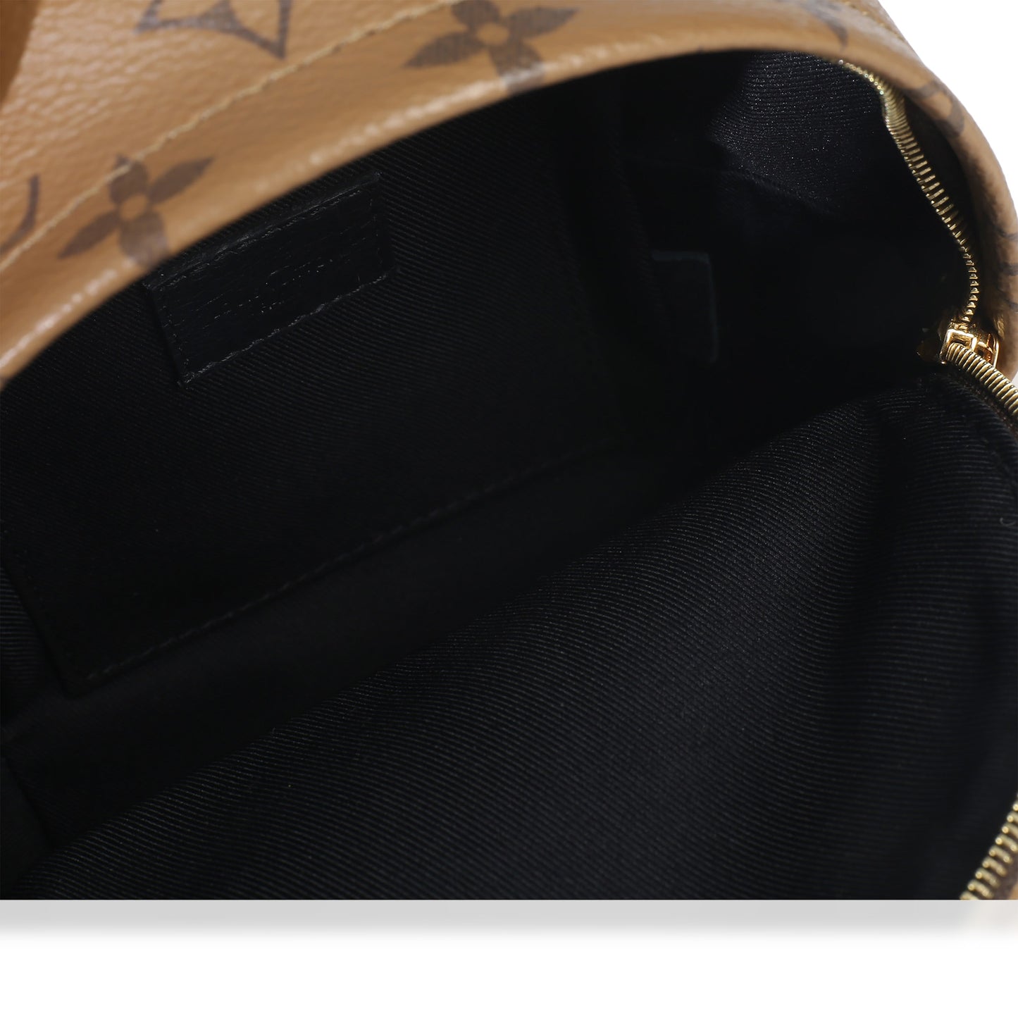 Louis Vuitton Canvas Reverse Monogram Mini Palm Springs