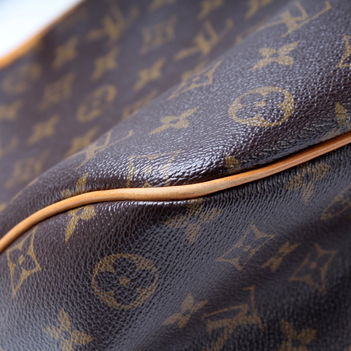 Louis Vuitton Delightful PM Monogram
