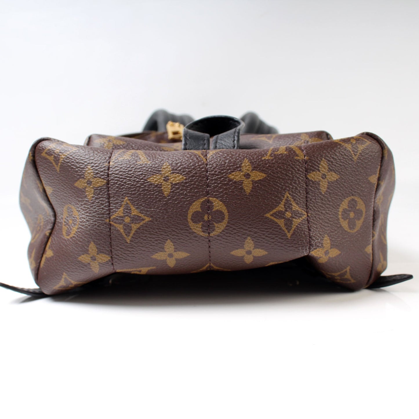 Louis Vuitton Palm Springs Backpack PM