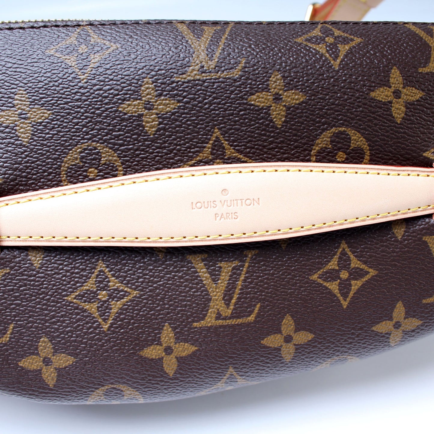 Louis Vuitton Bumbag Monogram