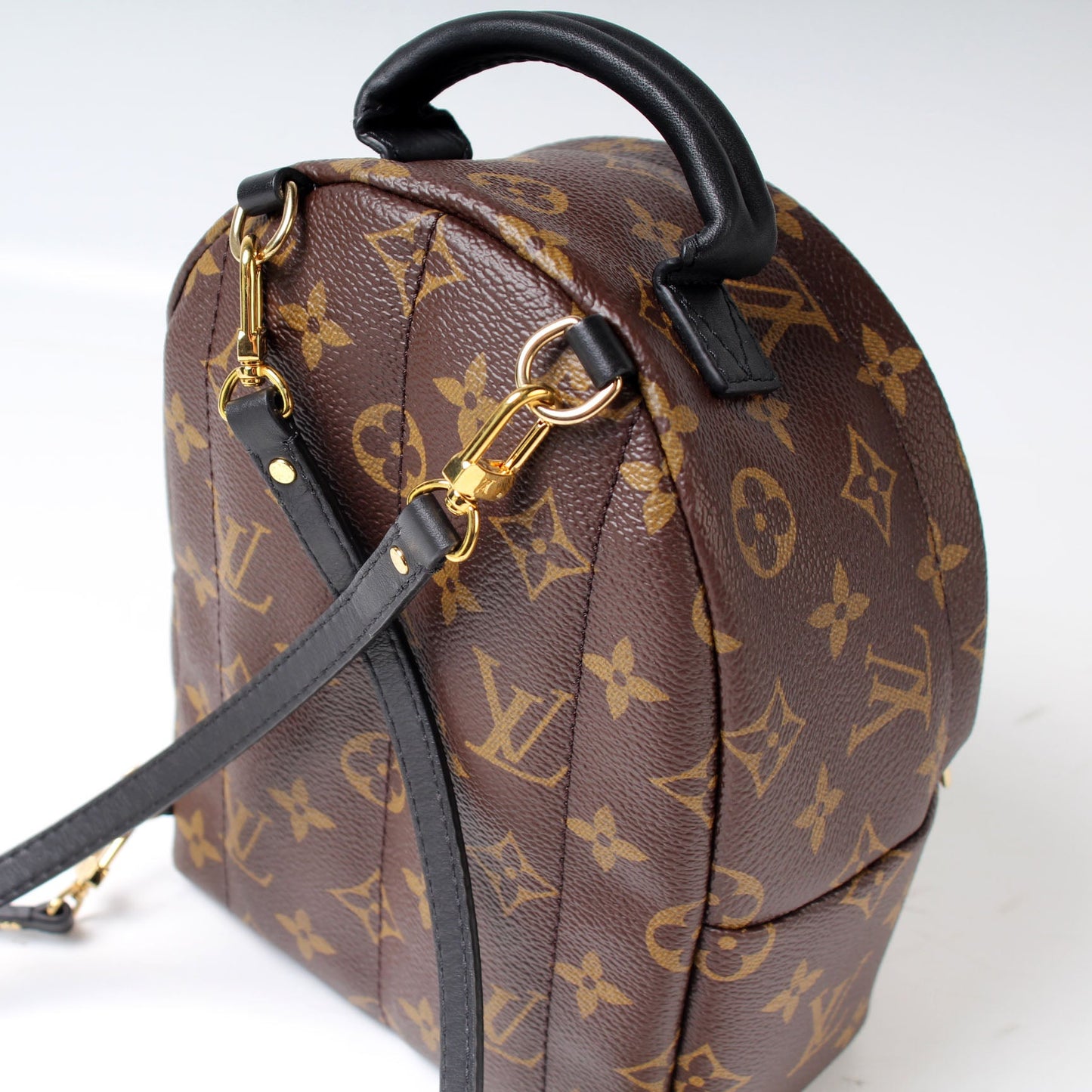 Louis Vuitton Palm Springs Mini Monogram