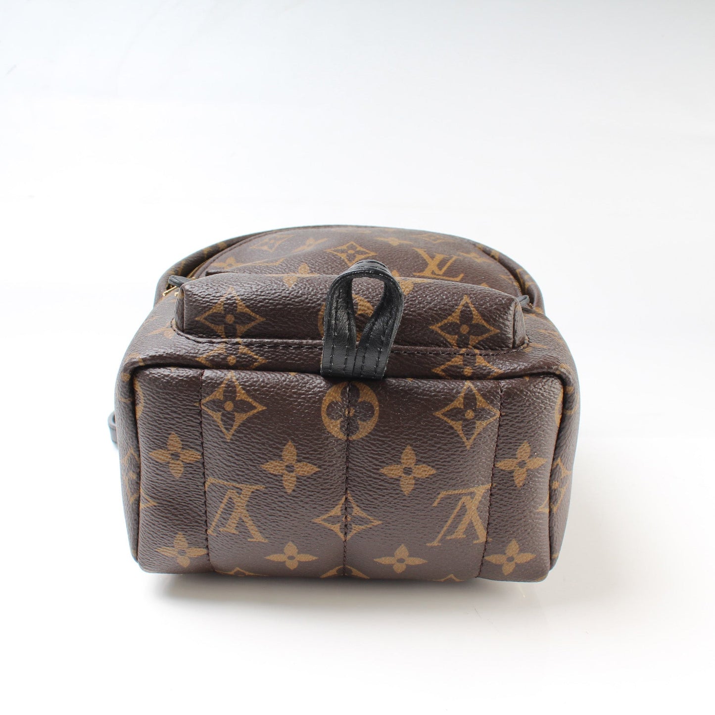 Louis Vuitton Palm Springs Mini Monogram