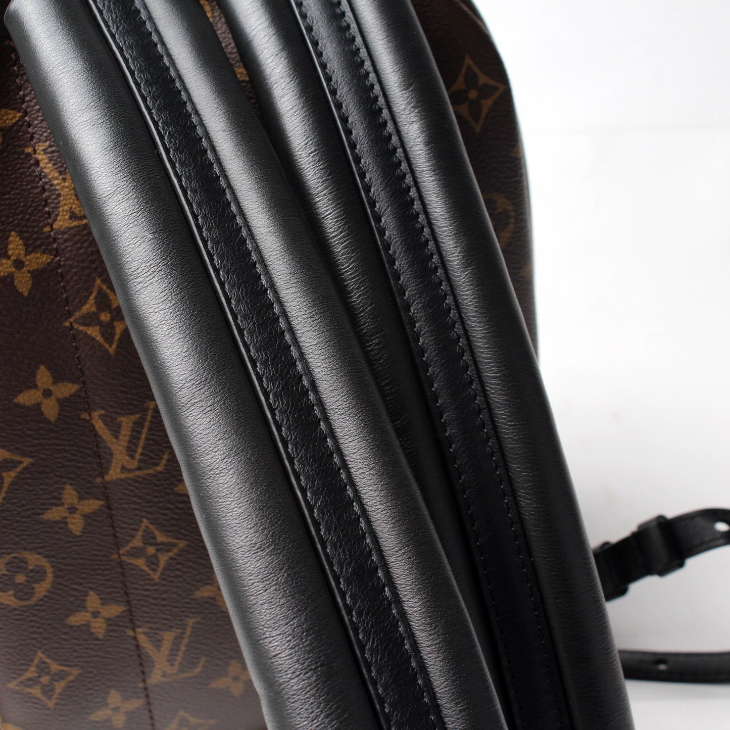 Louis Vuitton Palm Springs Backpack PM NM