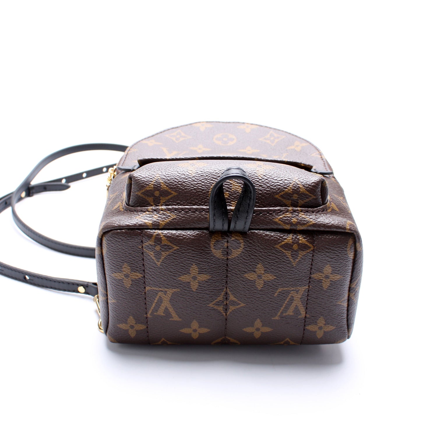 Louis Vuitton Palm Springs Mini Monogram