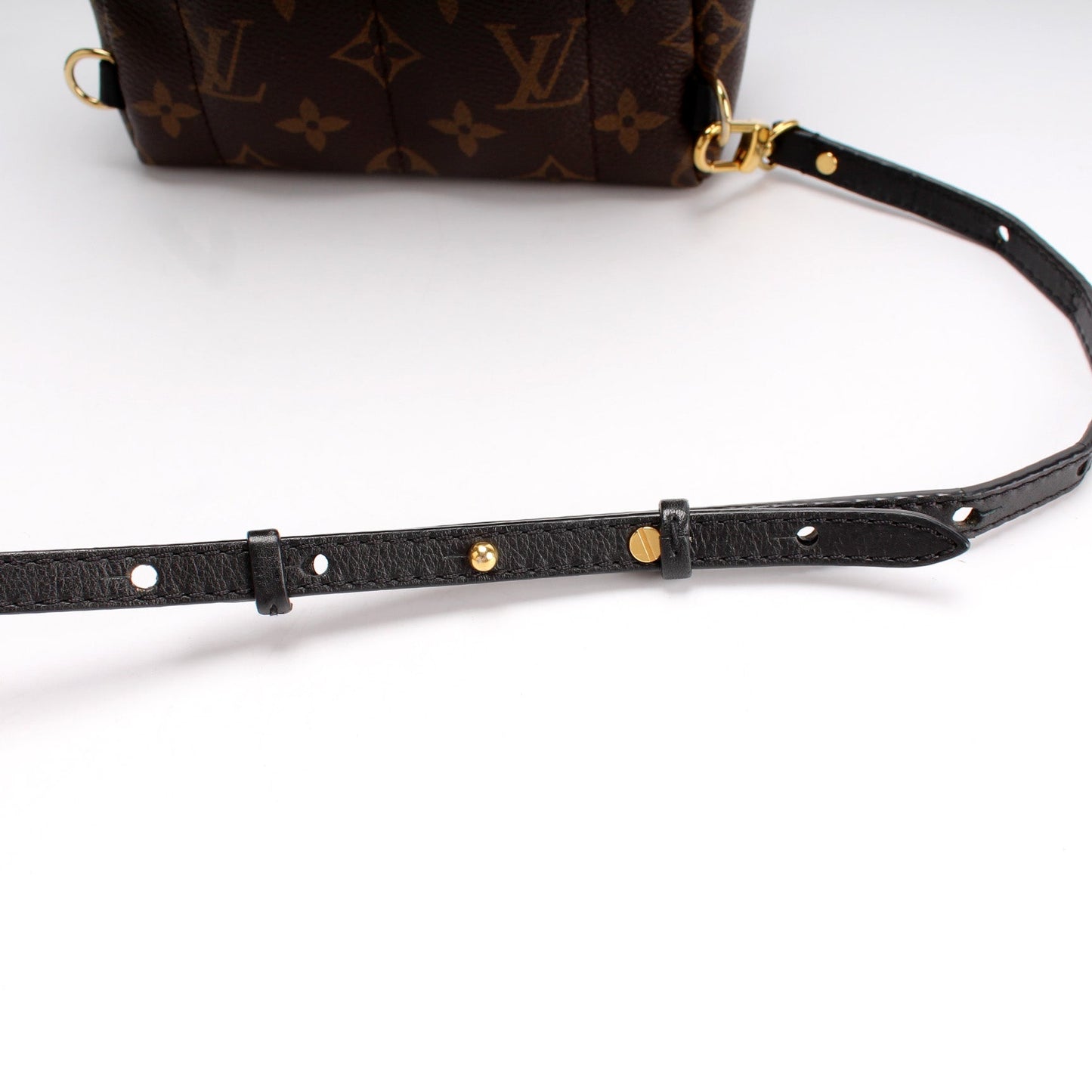 Louis Vuitton Palm Springa Mini Monogram