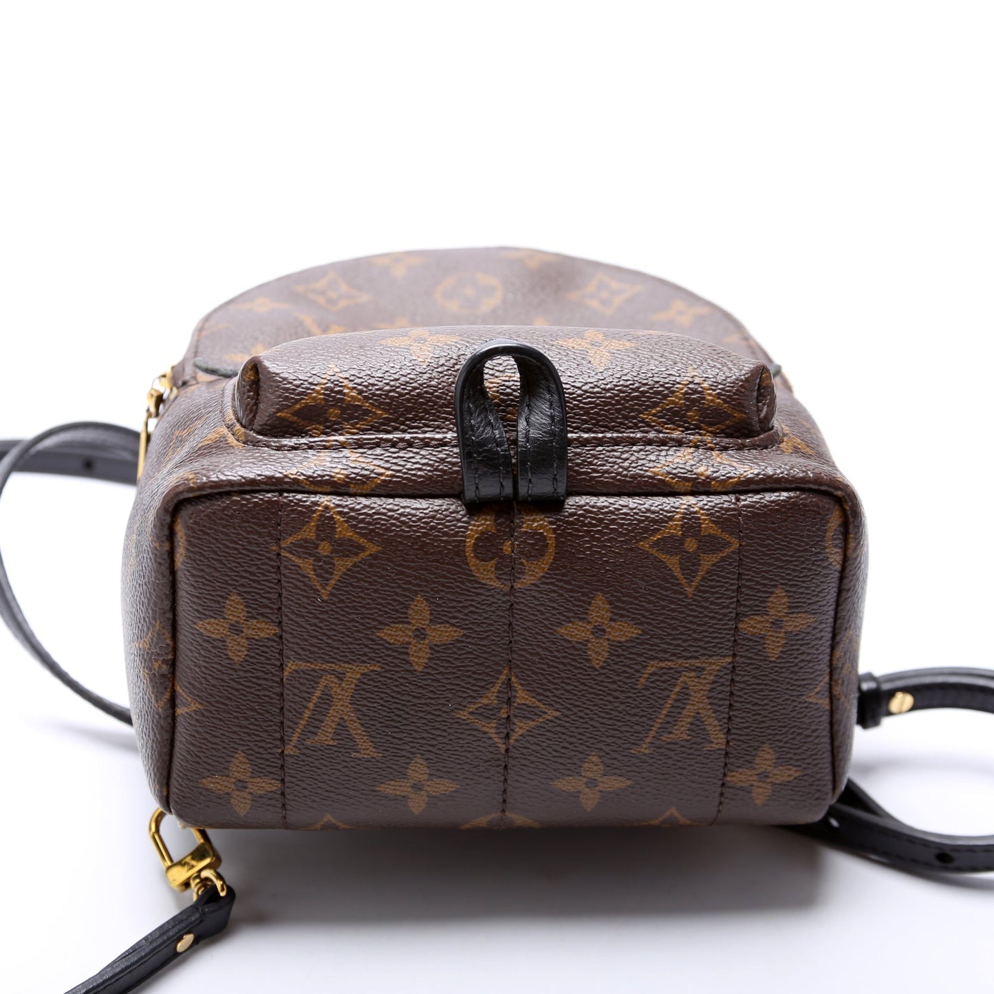Louis Vuitton Palm Springs Mini Monogram