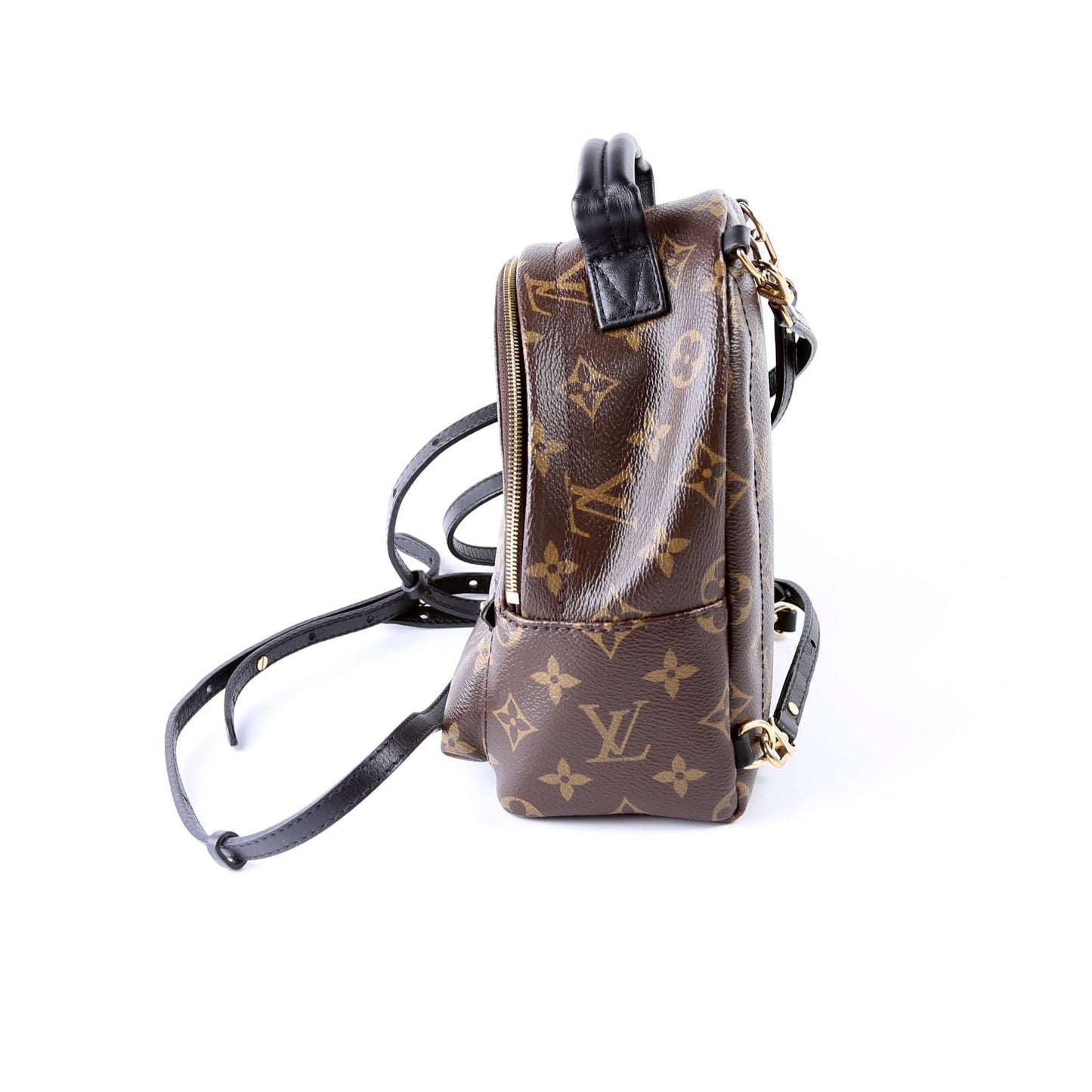 Louis Vuitton Palm Springs Mini Monogram