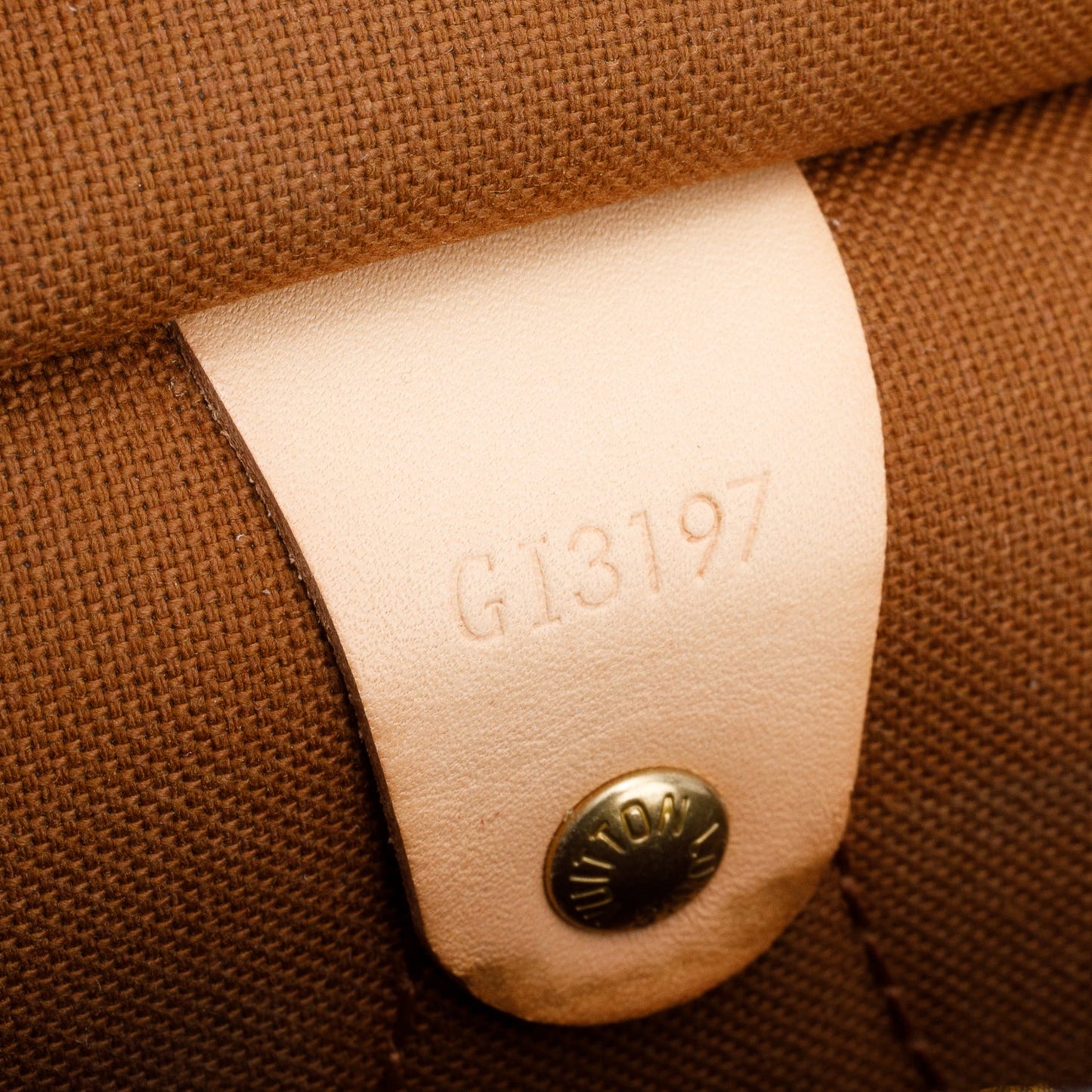Louis Vuitton Monogram All-In GM