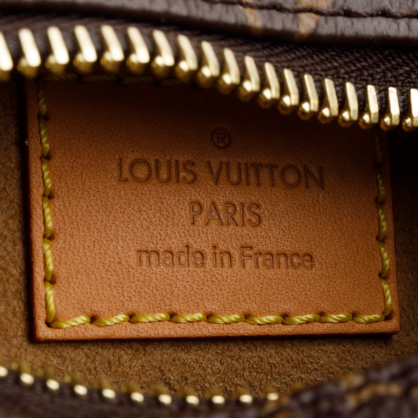 Louis Vuitton Monogram Loop Bag