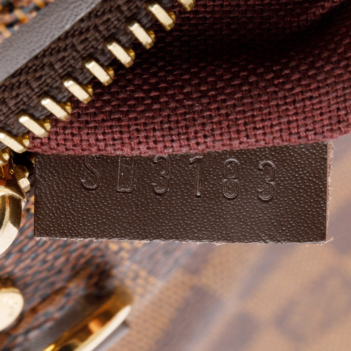 Louis Vuitton Damier Ebene Hoxton PM
