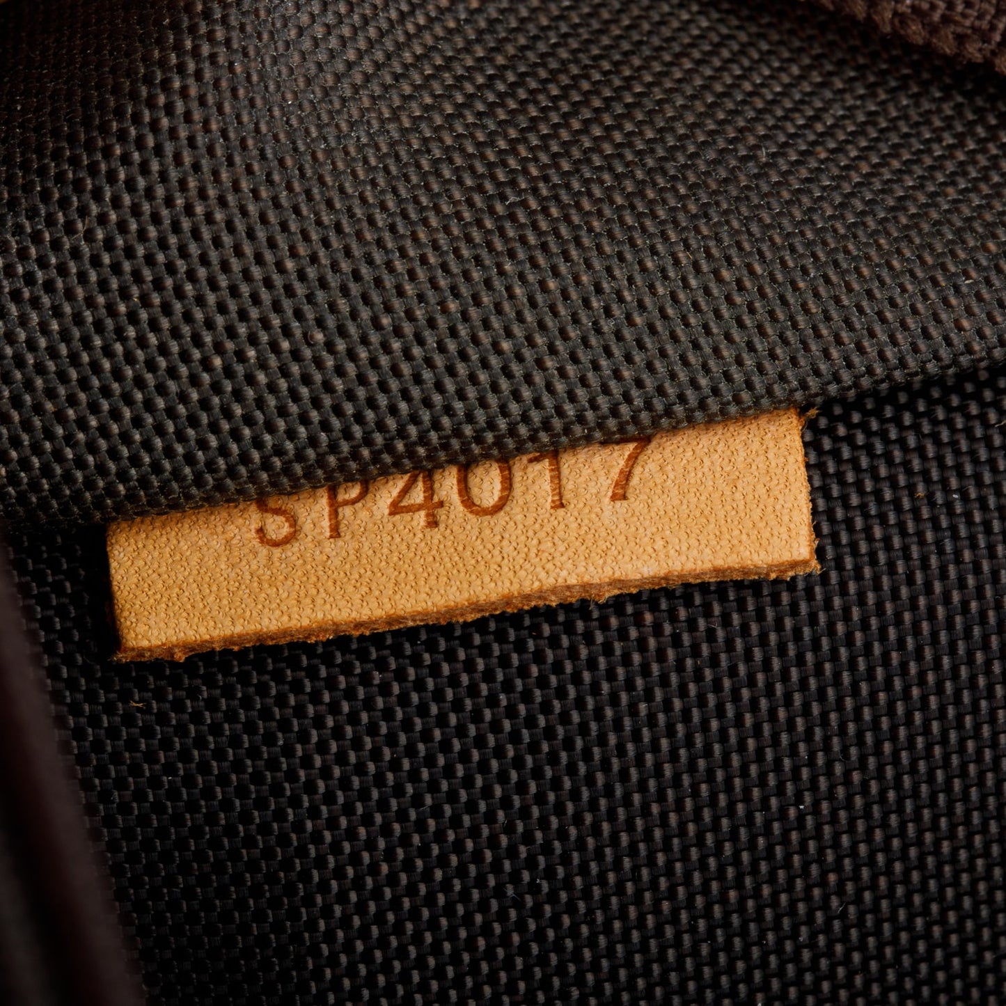 Louis Vuitton Monogram Pegase 45