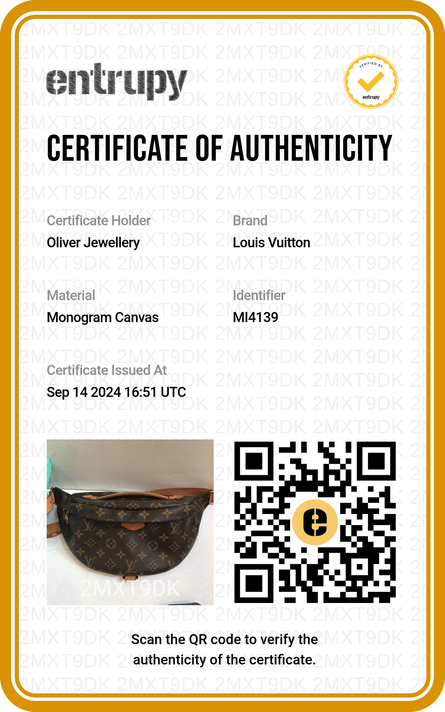 Louis Vuitton Monogram Bumbag MM