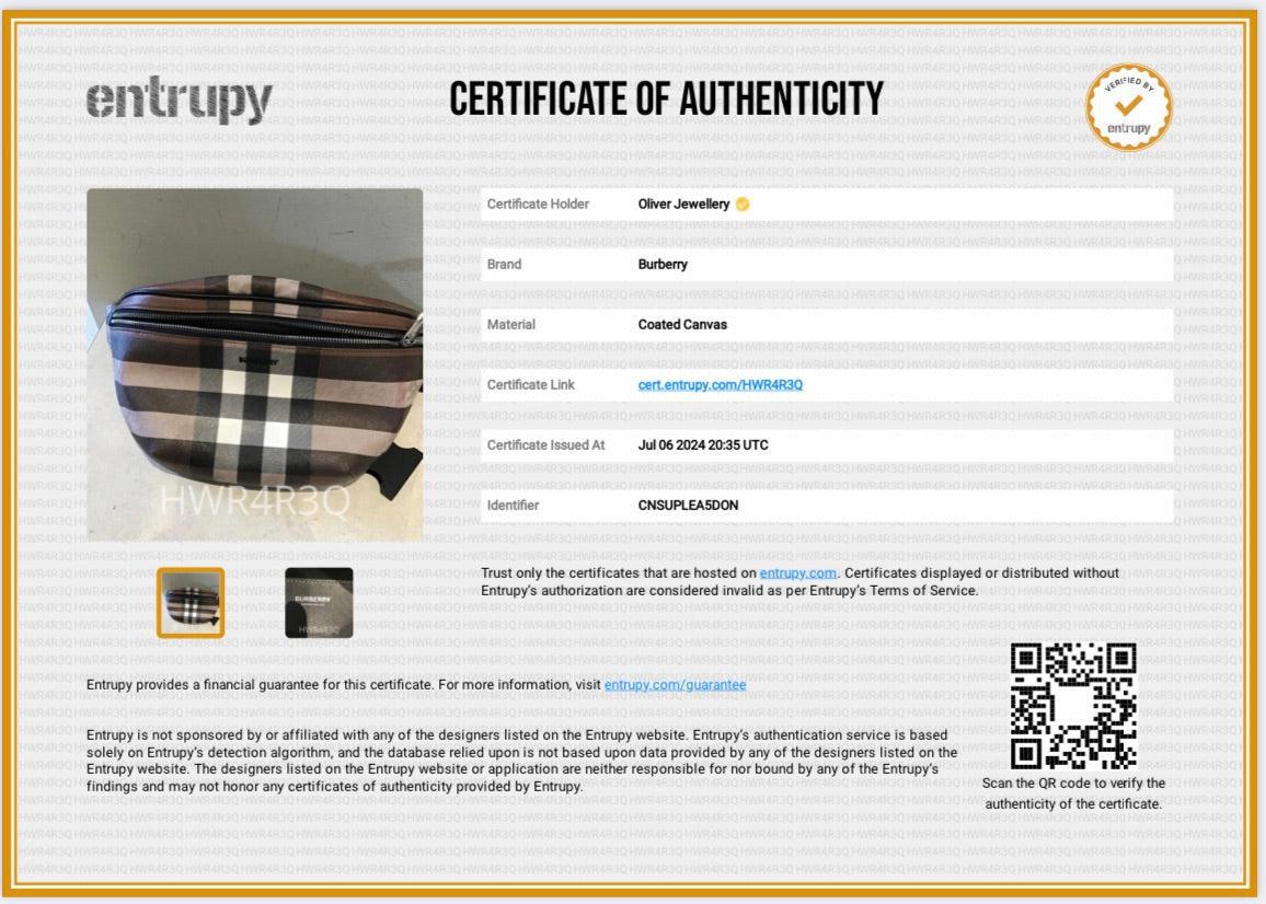 Burberry Dark Birch Brown Check Cason Belt Bag
