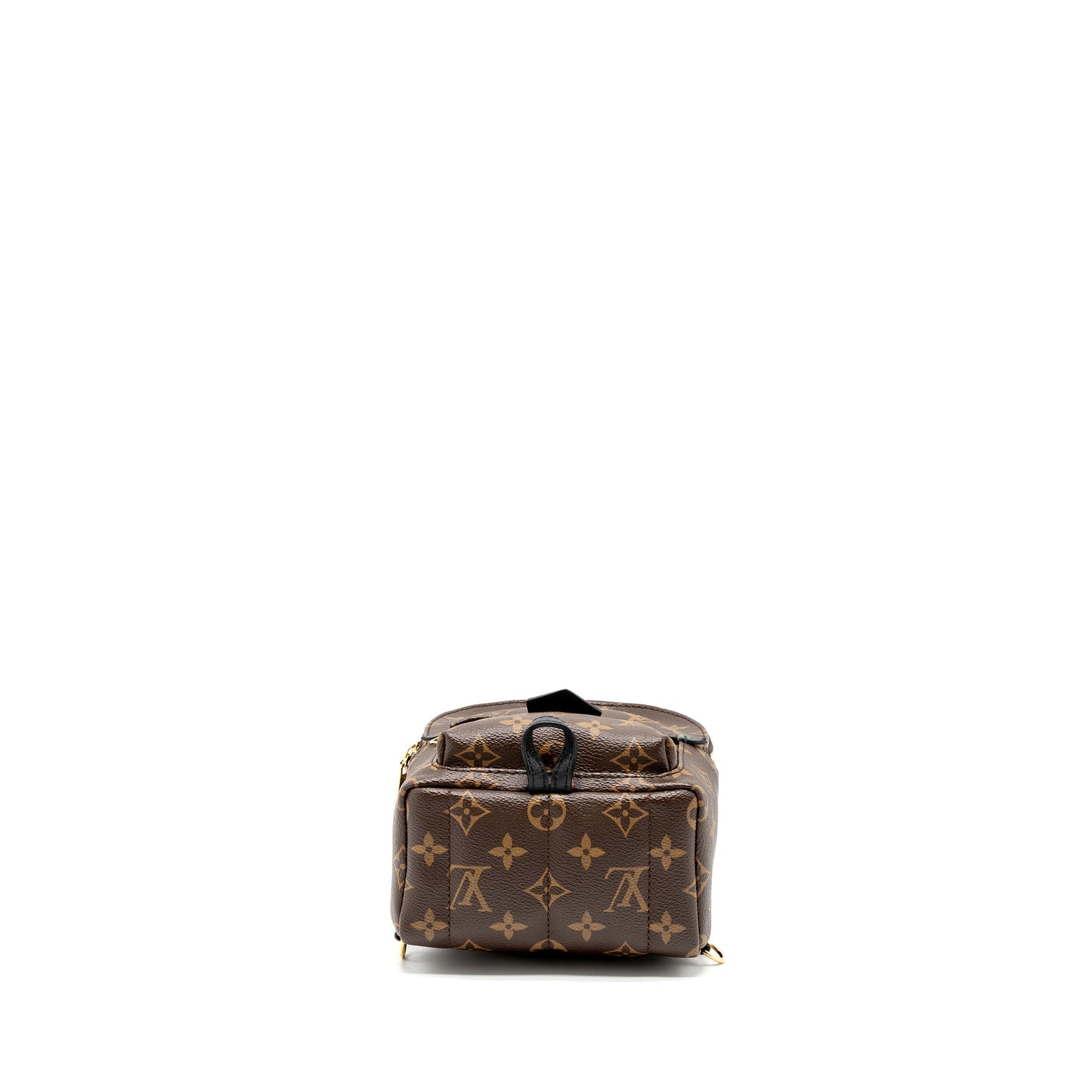 Louis Vuitton Mini Palm Spring Backpack Monogram Canvas (New Version)