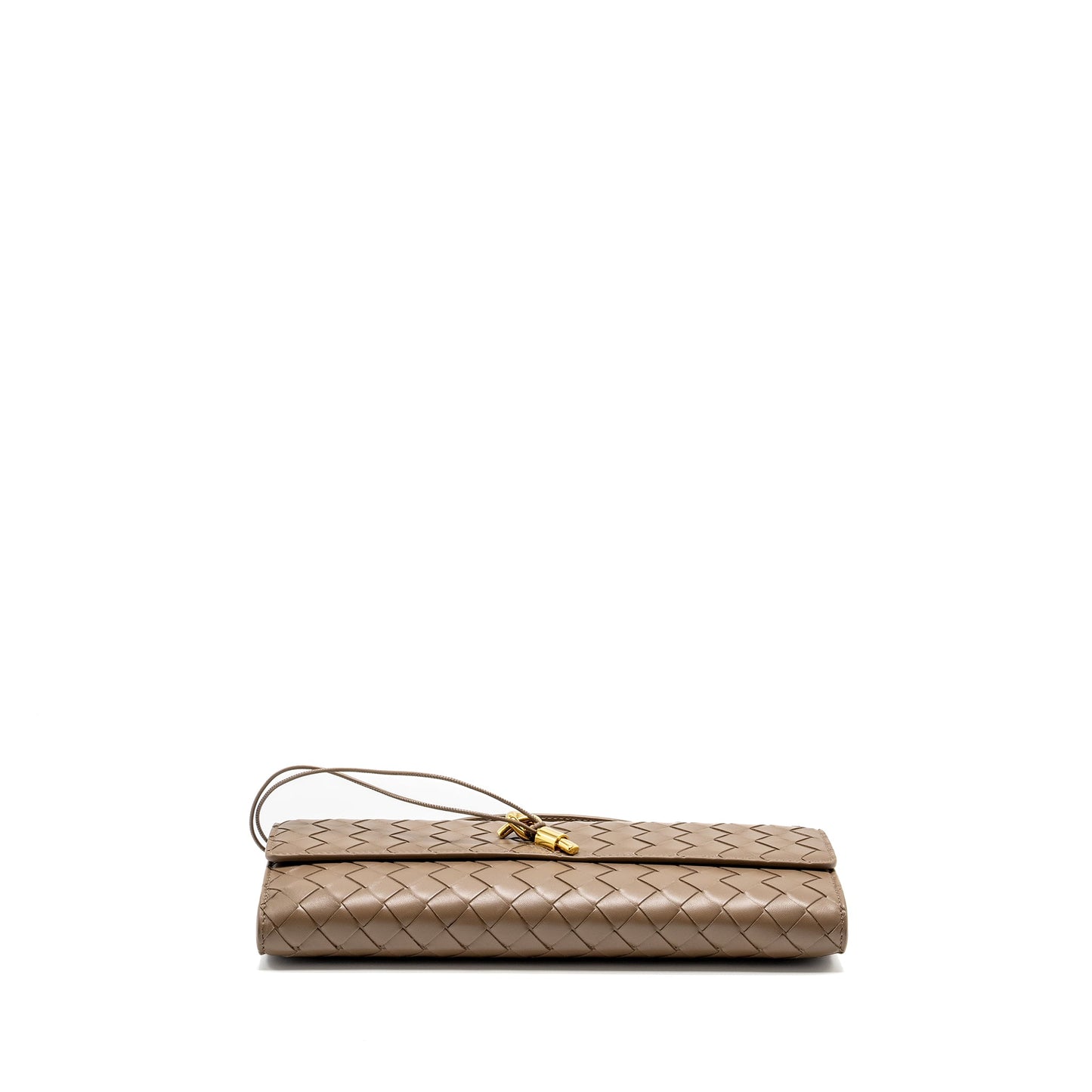 Bottega Veneta Andiamo Clutch Lambskin Pinecone