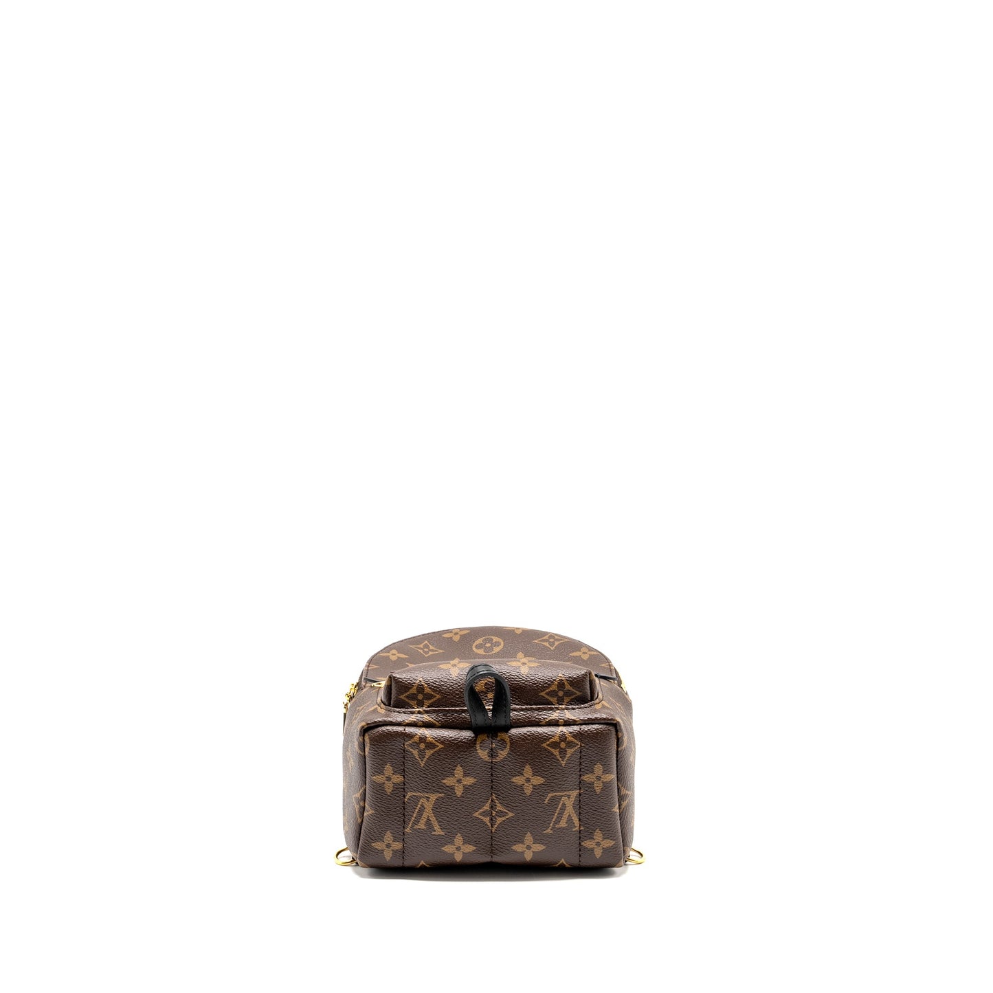 Louis Vuitton Mini Palm Spring Backpack monogram canvas