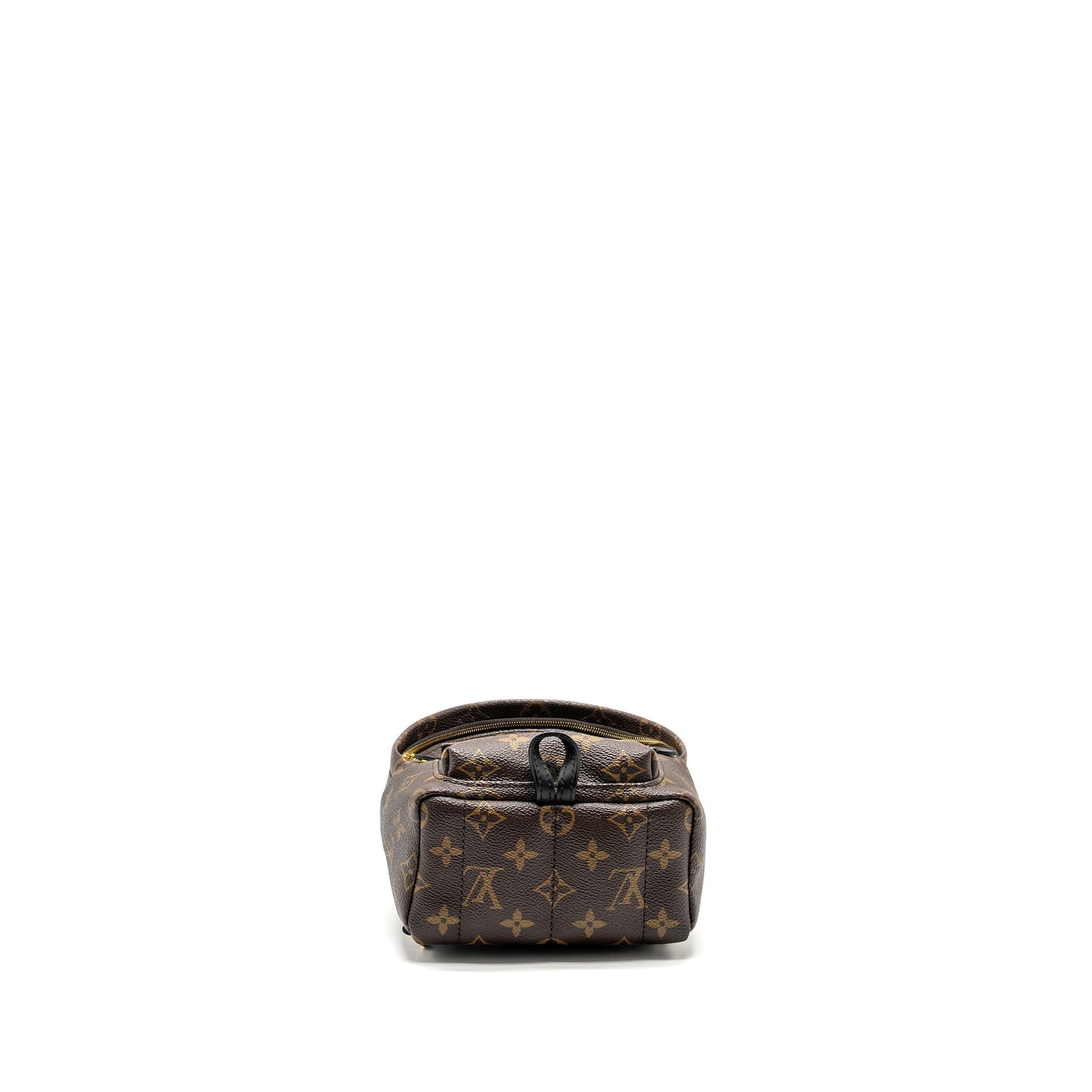 Louis Vuitton Palm Spring Mini Backpack Monogram Canvas