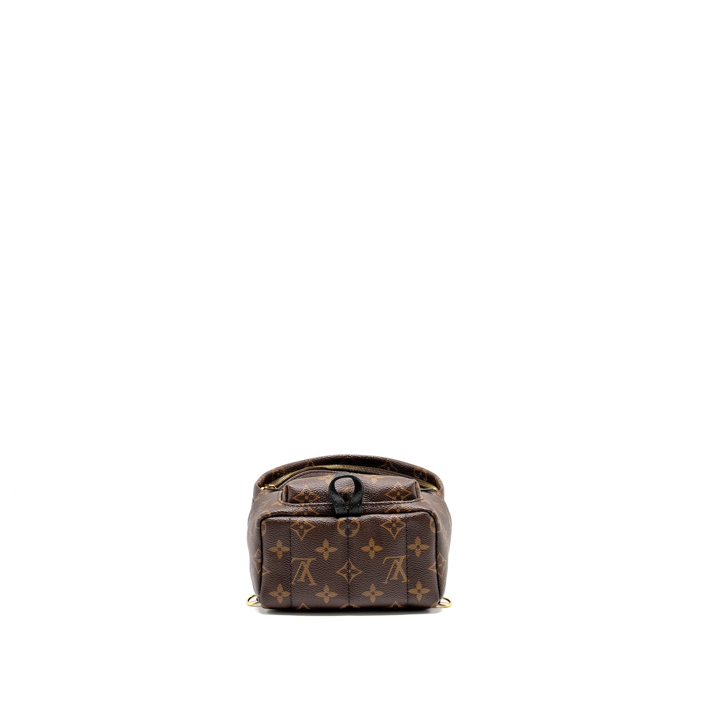 Louis Vuitton Mini Palm Spring Backpack Monogram Canvas