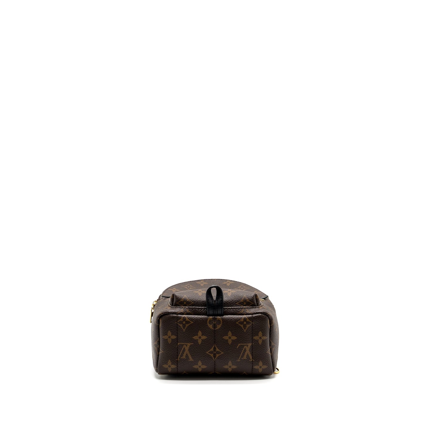 Louis Vuitton Mini Palm Spring Backpack Monogram Canvas