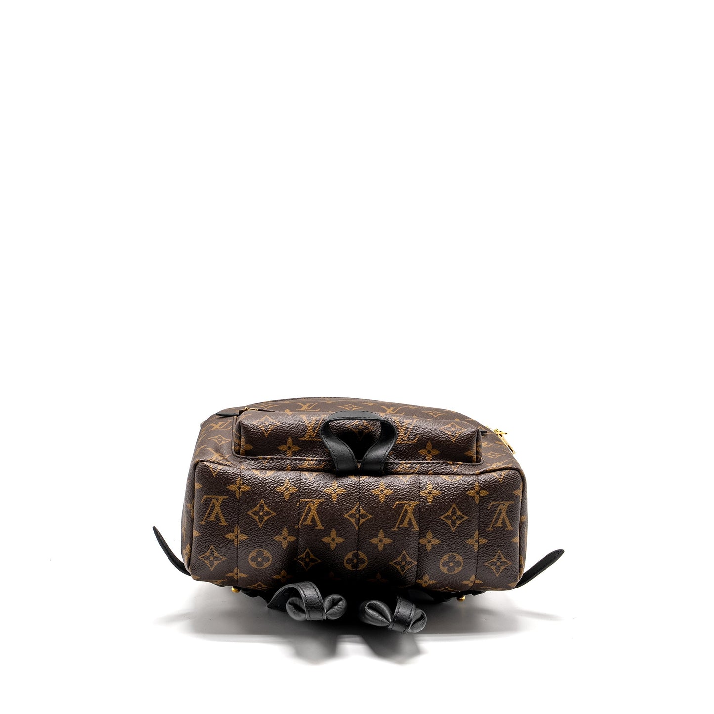 Louis Vuitton Palm Spring Backpack Monogram Canvas