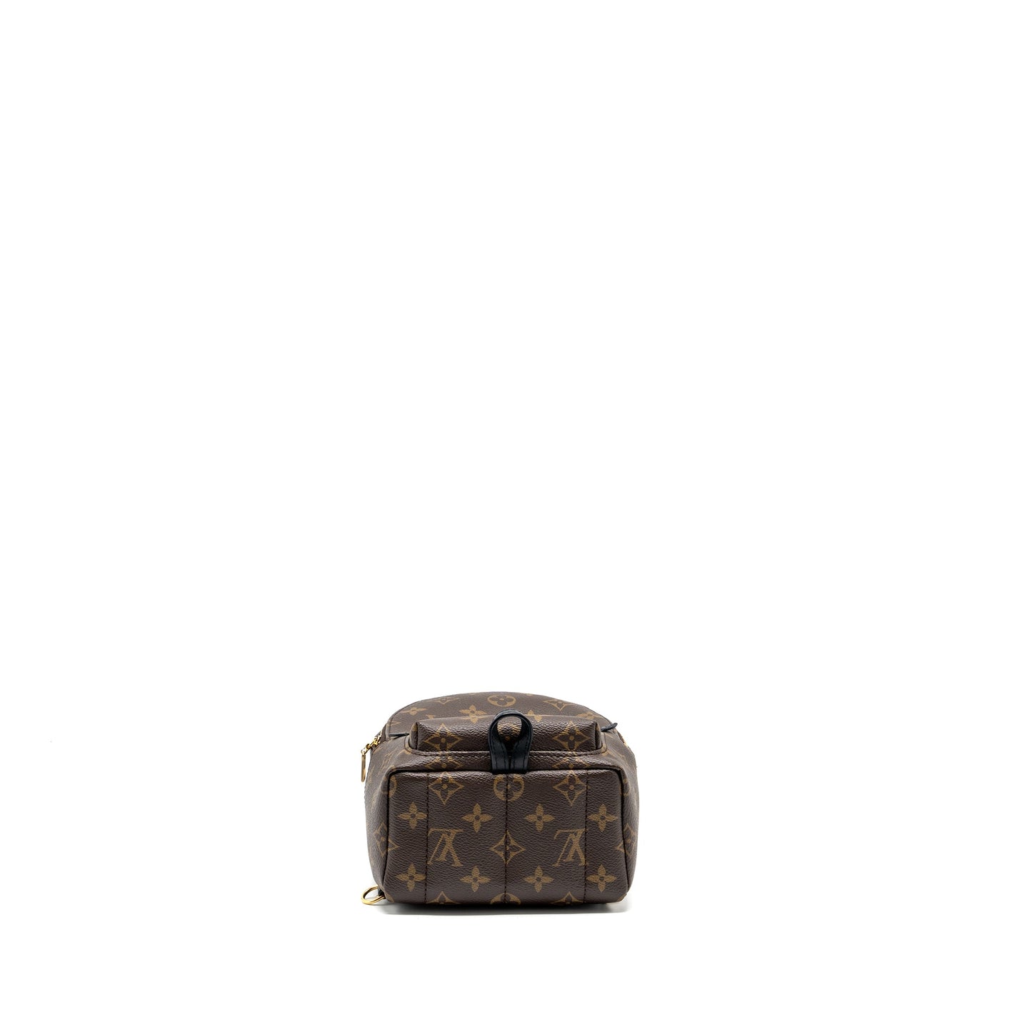 Louis Vuitton Mini Palm Spring backpack monogram canvas