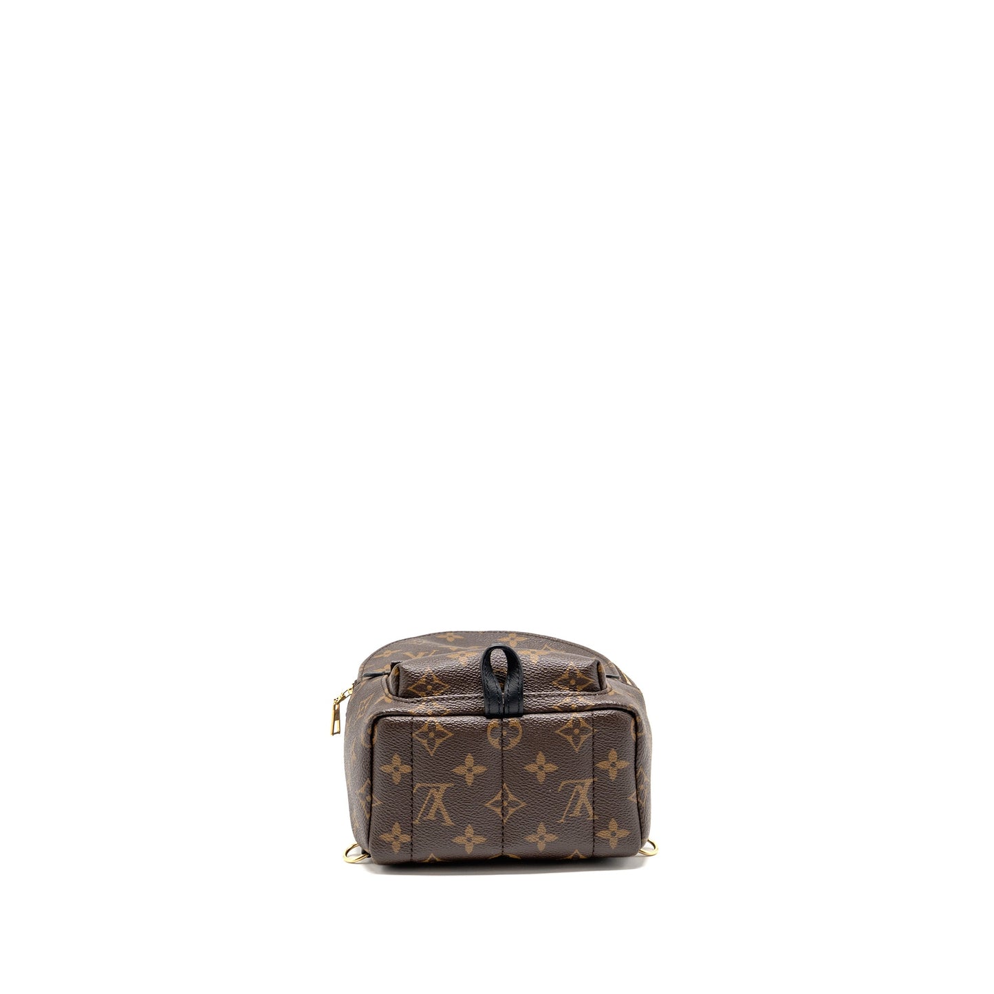 Louis Vuitton Palm Springs Monogram Canvas