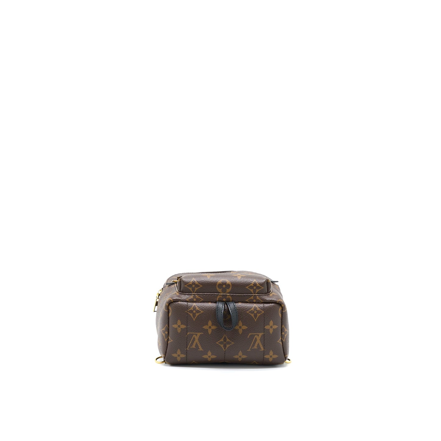 Louis Vuitton Palm Spring Mini Backpack Monogram Canvas(New Version Zipper)