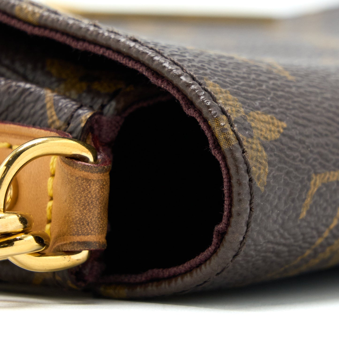 Louis Vuitton Favorite Monogram Canvas