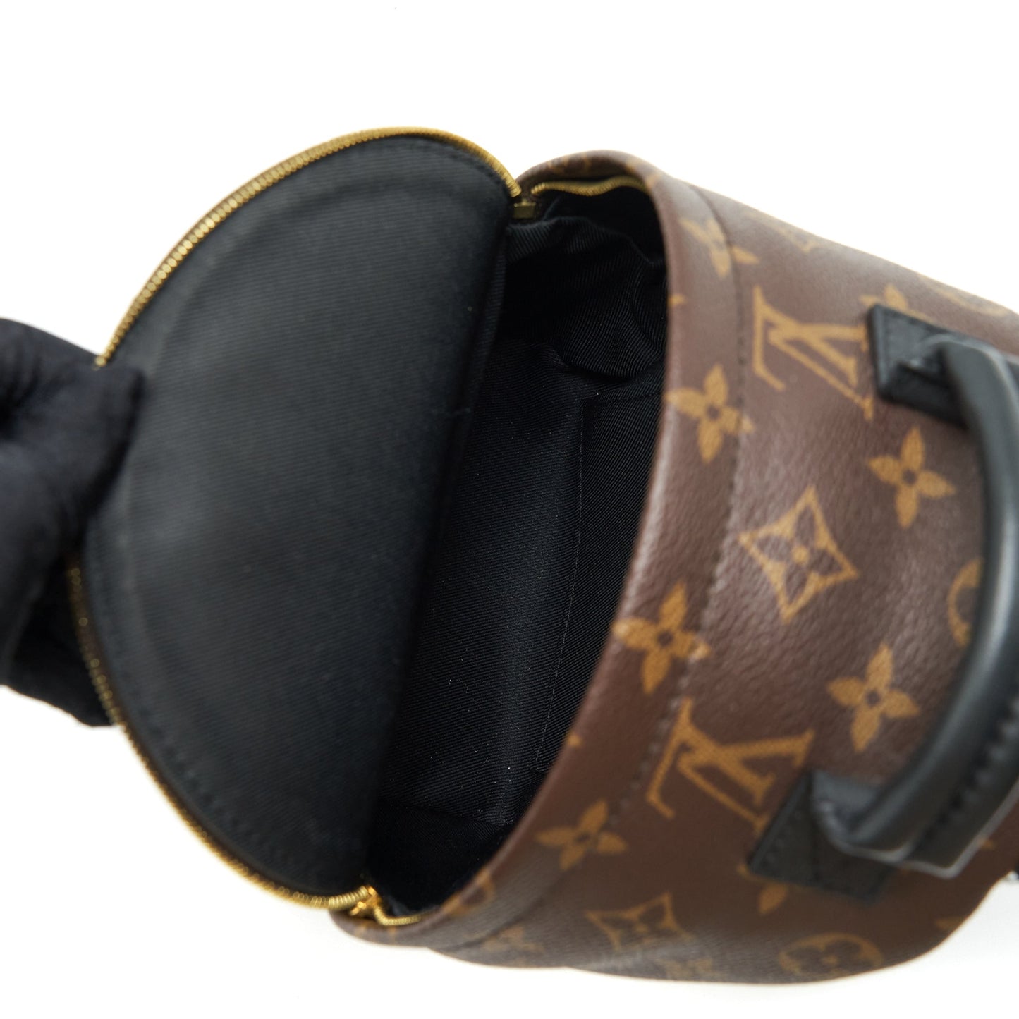 Louis Vuitton Palm Spring Mini Backpack Monogram Canvas