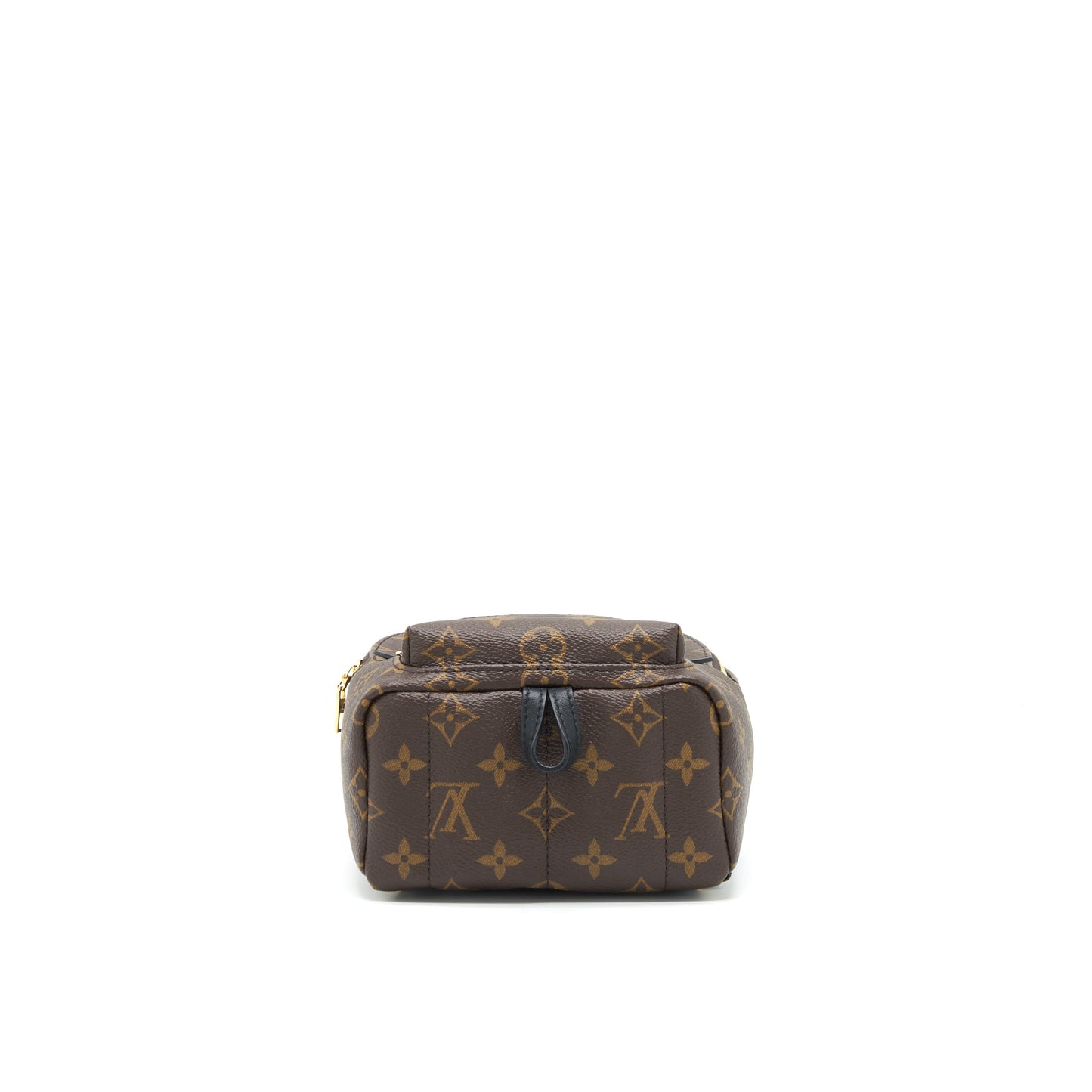 Louis Vuitton Palm Springs Mini Backpack Monogram Canvas New Zipper