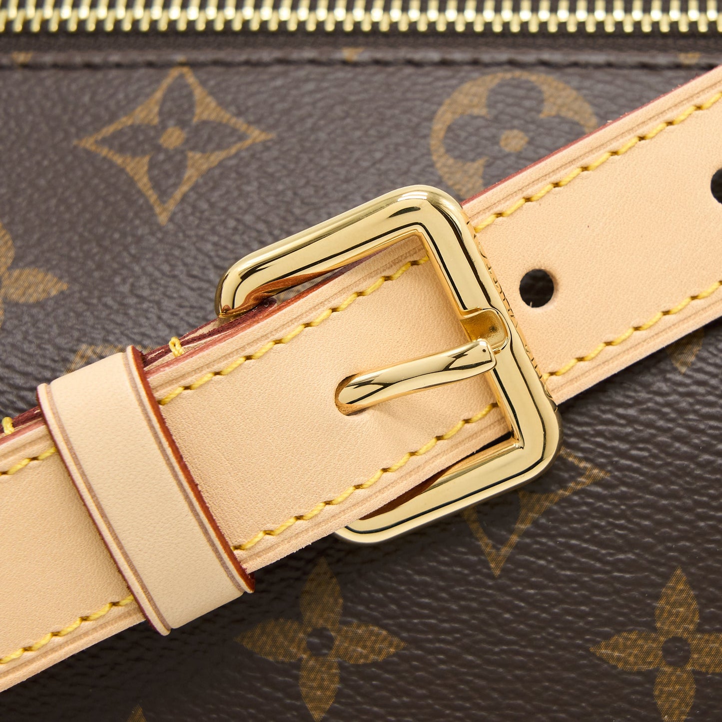 Louis Vuitton Bumbag Monogram Canvas