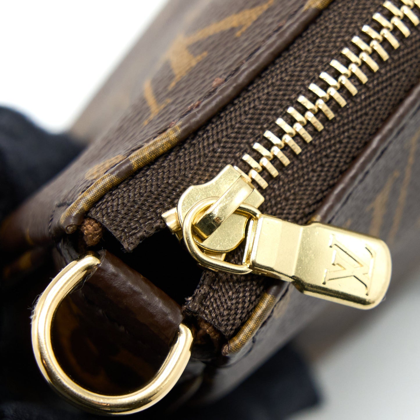 Louis Vuitton Pochette Accessories Monogram Canvas (New Version)
