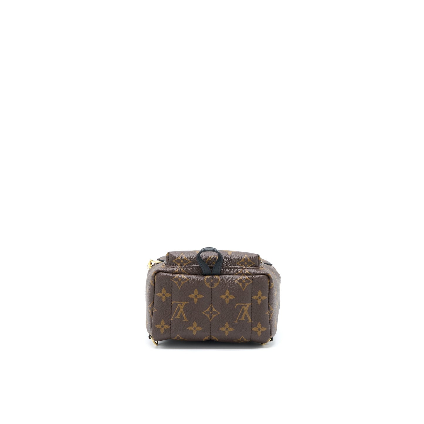Louis Vuitton Palm Spring Mini Backpack Monogram Canvas