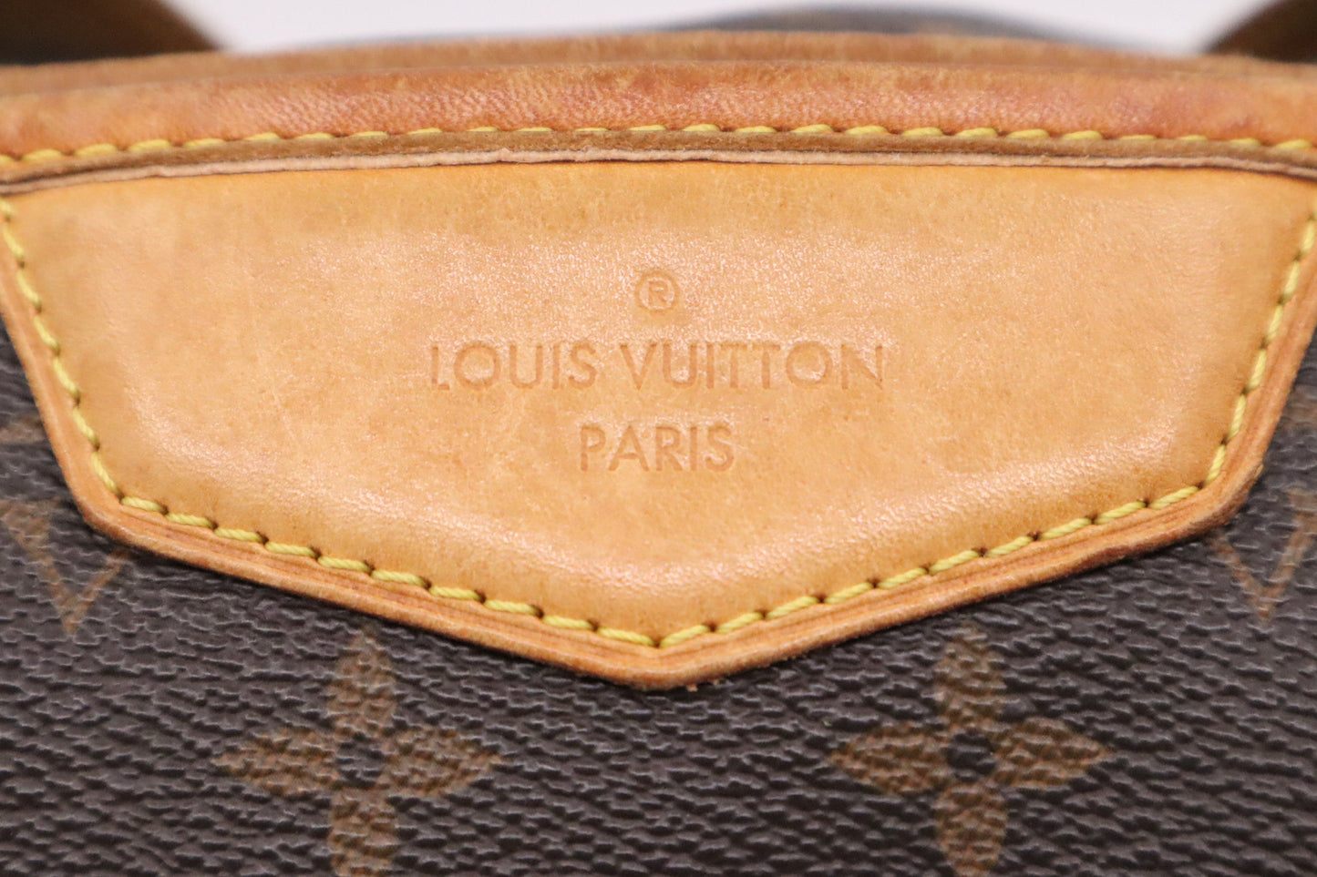 Louis Vuitton Estrela in Monogram Canvas
