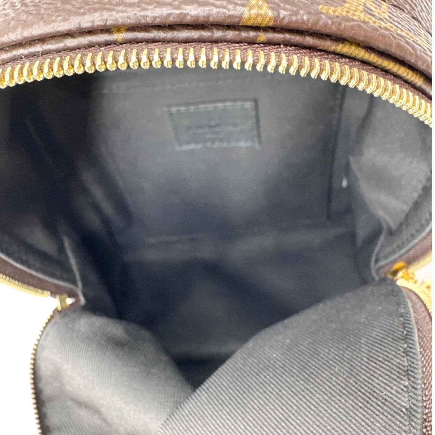 LOUIS VUITTON Palm Spring Mini Monogram Canvas Backpack Brown
