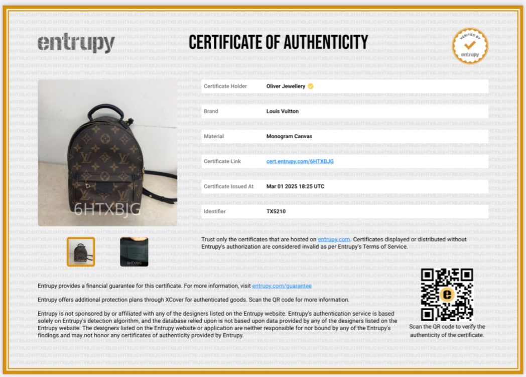 Louis Vuitton 2020 Monogram Palm Springs Mini Backpack