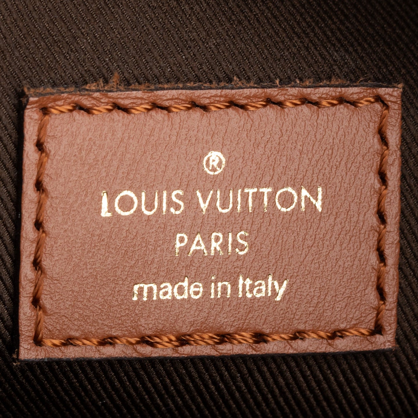 Louis Vuitton 2022 Monogram Reverse Loop Hobo Bag