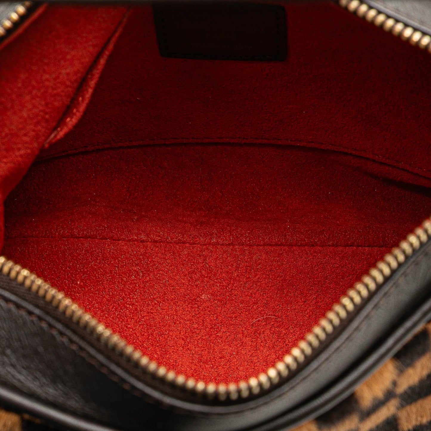 Louis Vuitton Damier Sauvage Tigre