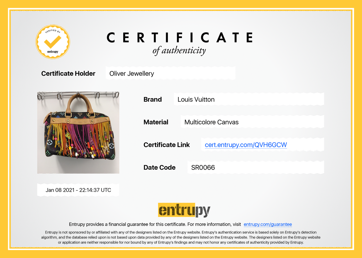Louis Vuitton Limited Edition Multicolore Fringe Speedy 25