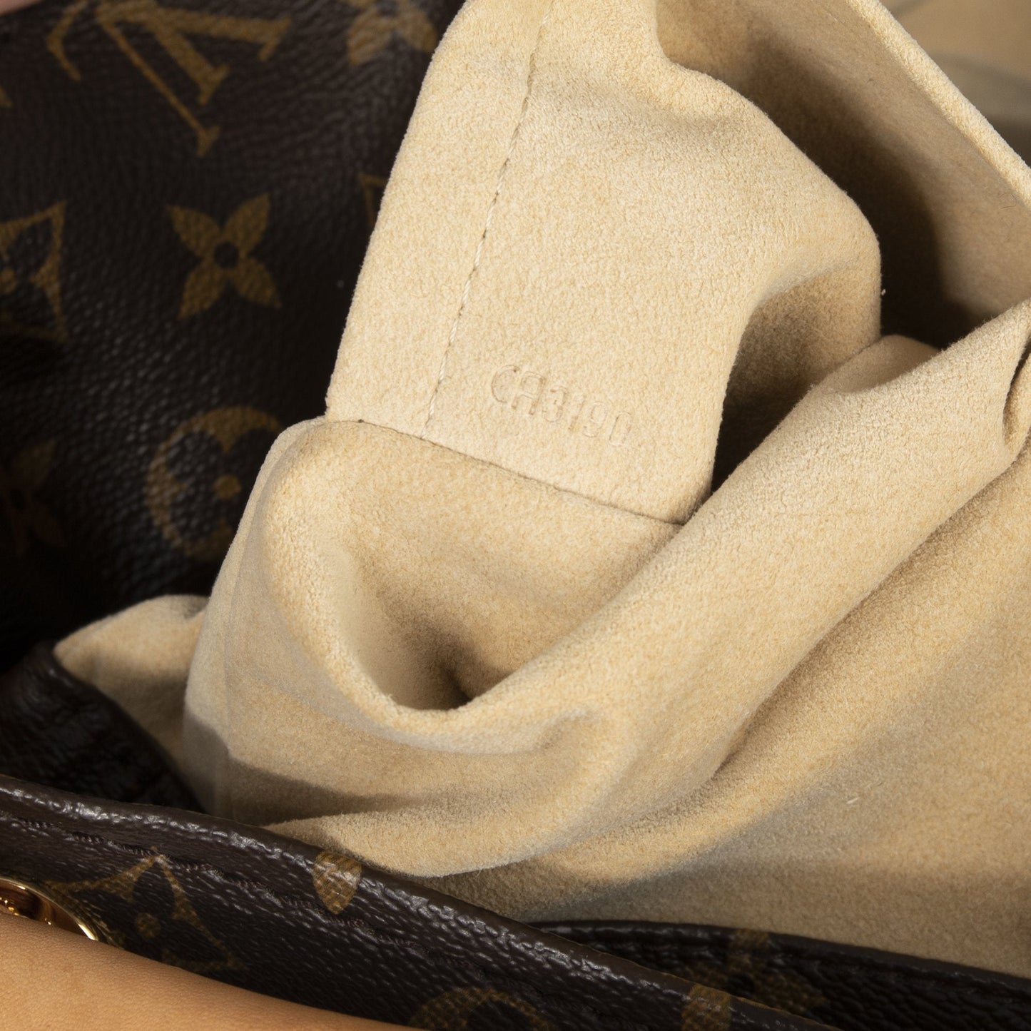 Louis Vuitton Monogram Artsy MM